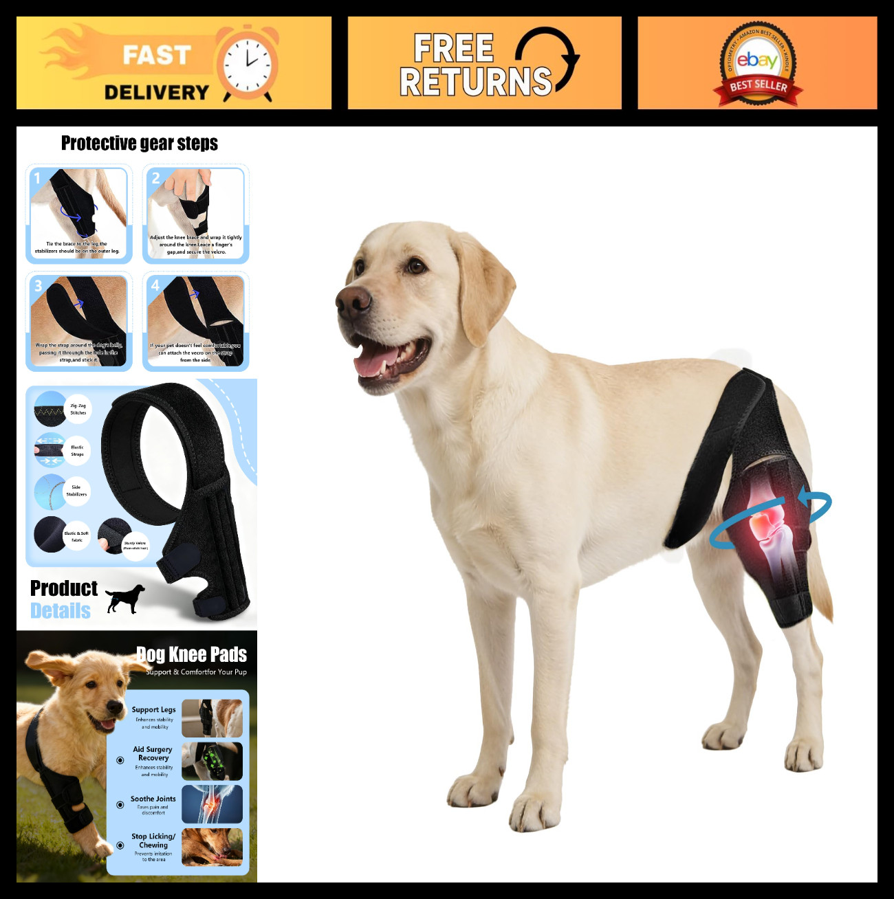 Dog Knee Brace for ACL CCL Support | Adjustable Hind Leg Stability & Comfort | M
