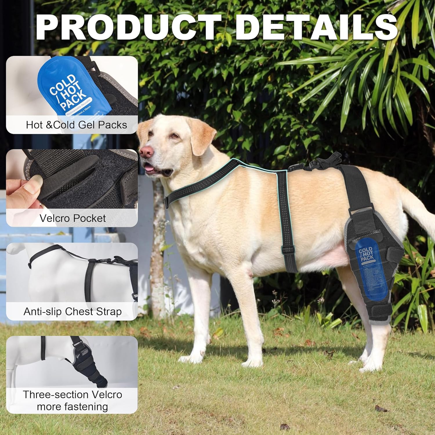 XL Dog Knee Brace for Torn ACL with Hot/Cold Gel Pack – Right Leg Support