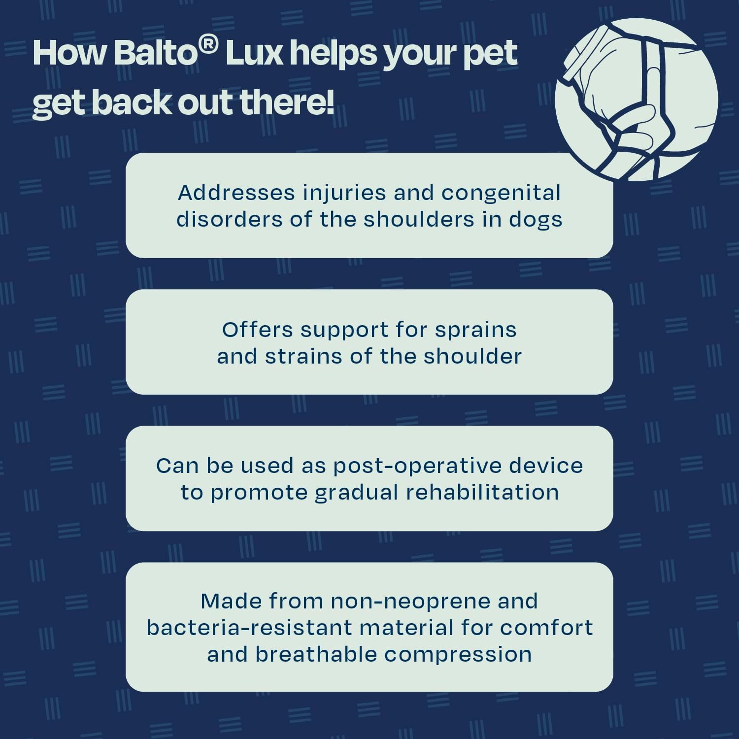 Lux Adjustable Dog Shoulder Brace – Shoulder Brace – Support Shoulder Dysplasia