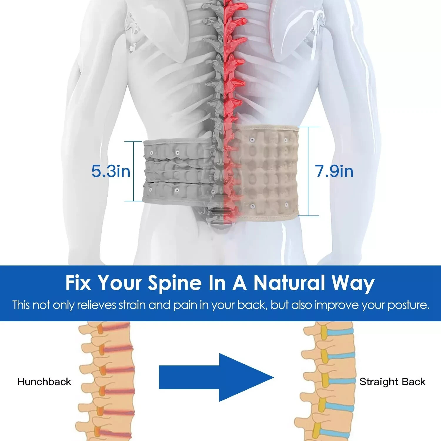 Decompression Belt Back Brace Lumbar Spinal Support & Extender Belt Air Traction