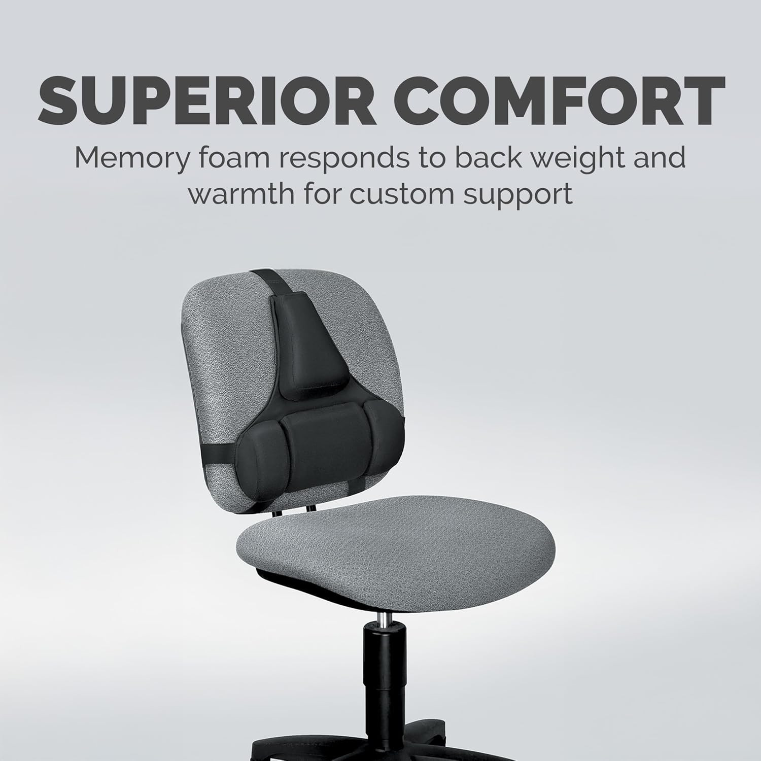 Professional Series Back Support, Black (8037601)