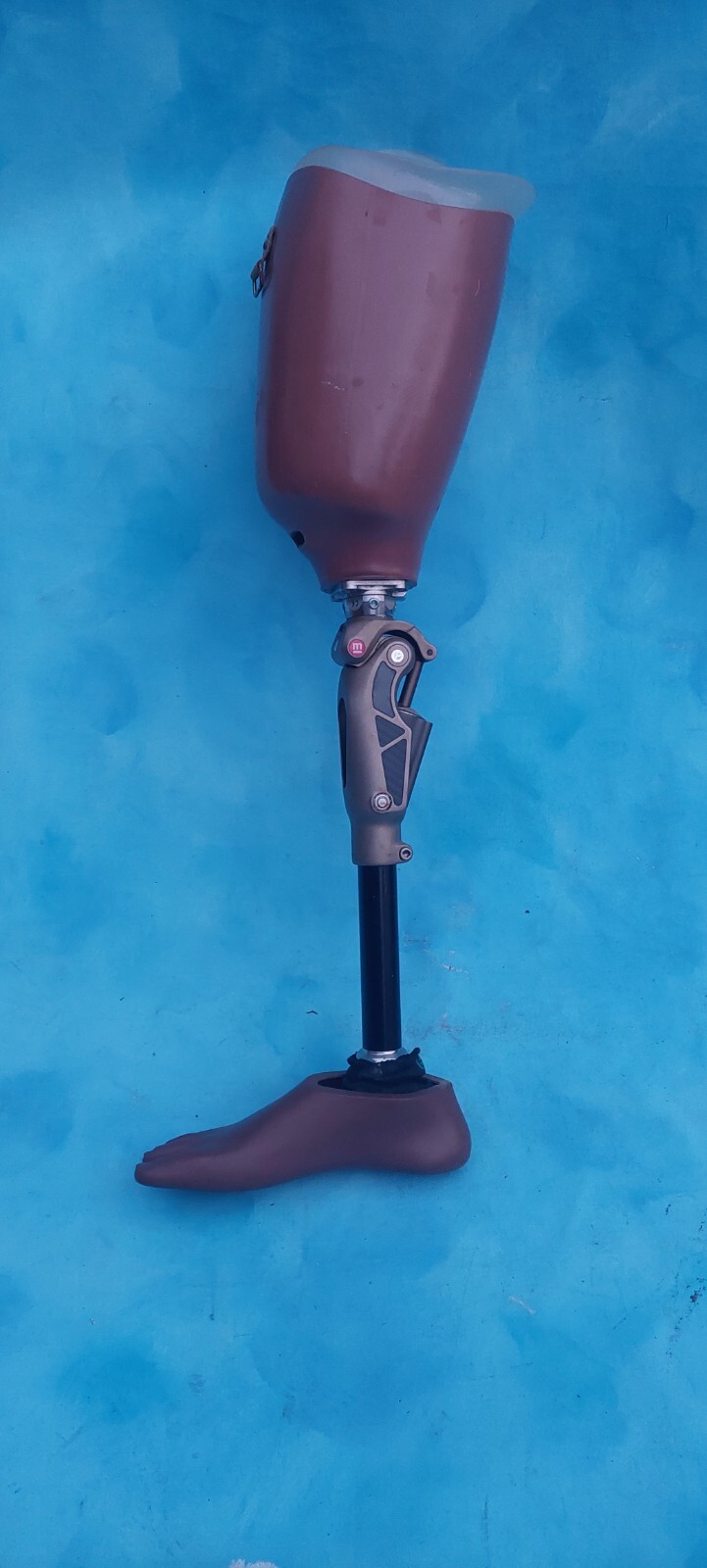 Medi Prosthetic Above Knee Leg Limb CELSUS RIGHT Foot Size 25 ST&G COMPONENTS