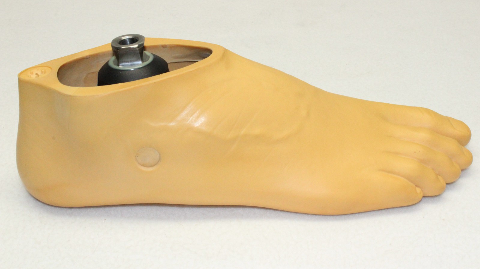 TRULIFE Kinetic A Edge Prosthetic RIGHT Split Toe Foot Pyramidal Adapter ~ Sz 28