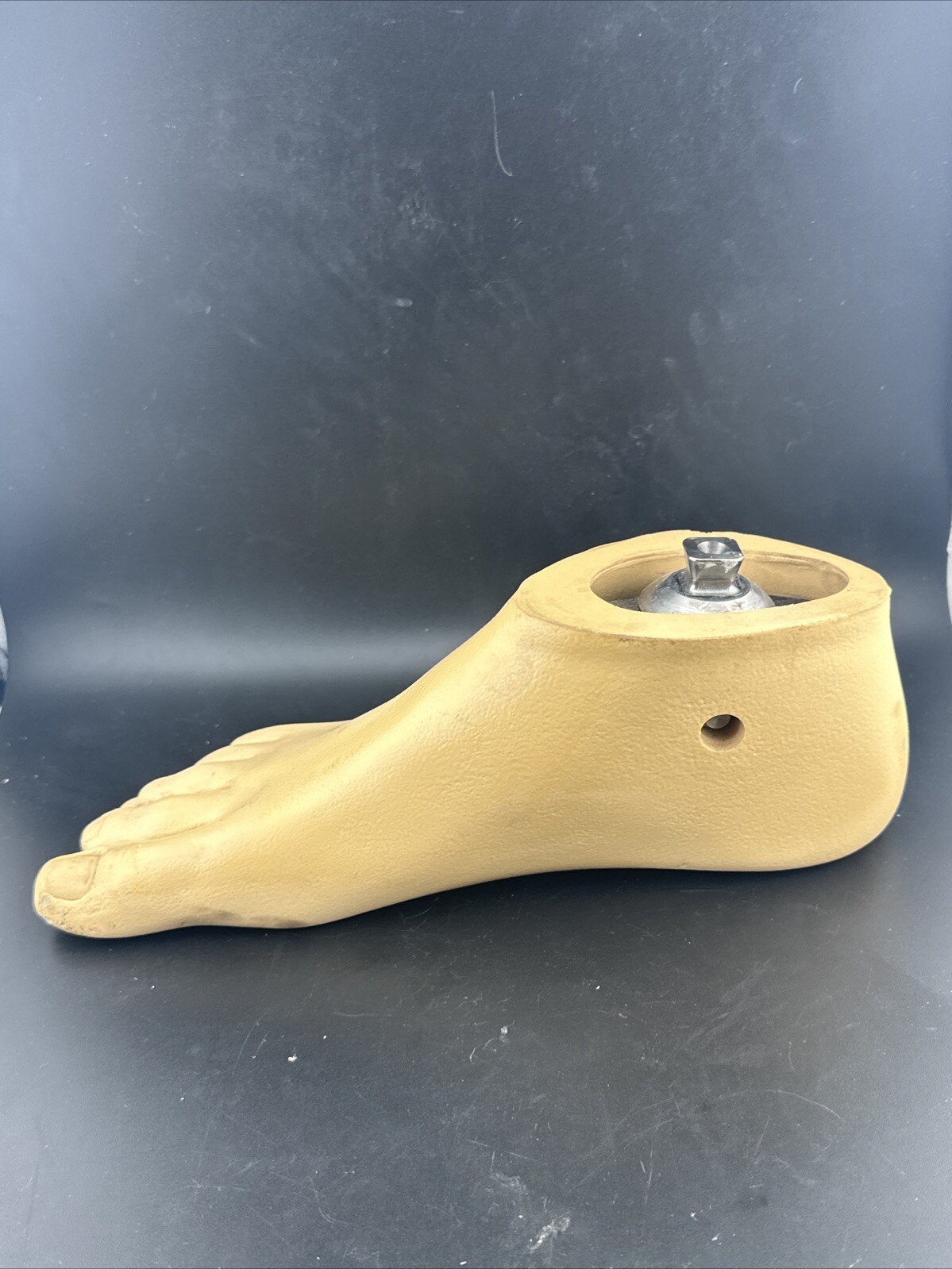 Ohio Willow Wood, Single Axis Prosthetic Foot. Right, Size 27.