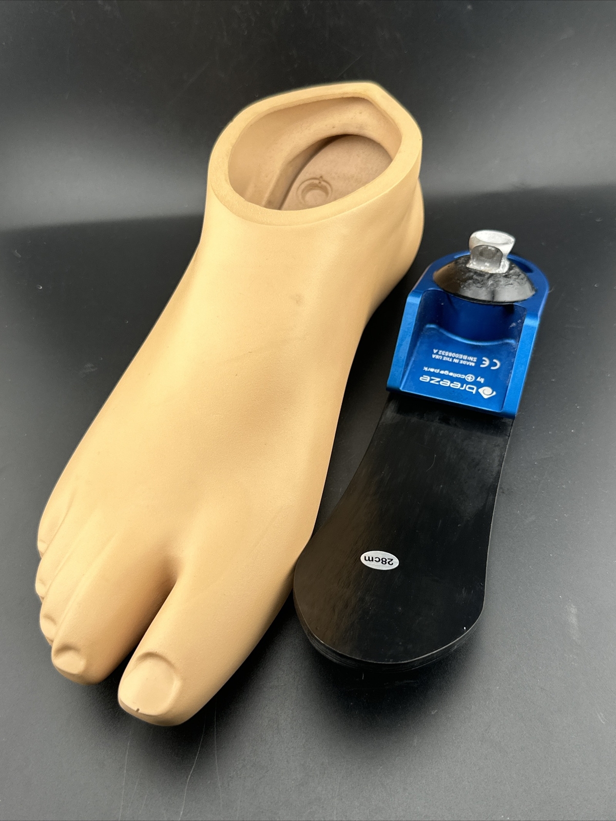 college park breeze prosthetic foot. size 28. right Prosthetic foot.