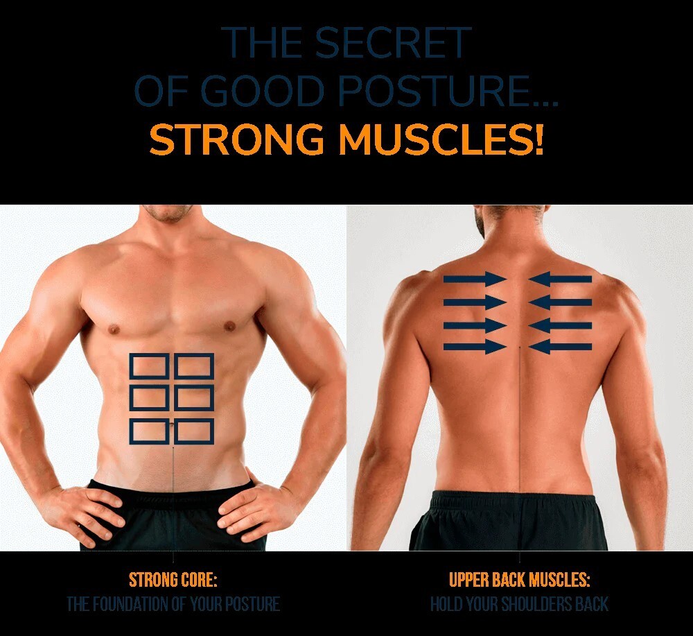 Upcore posture corrector support back shoulders and abs. Brans new