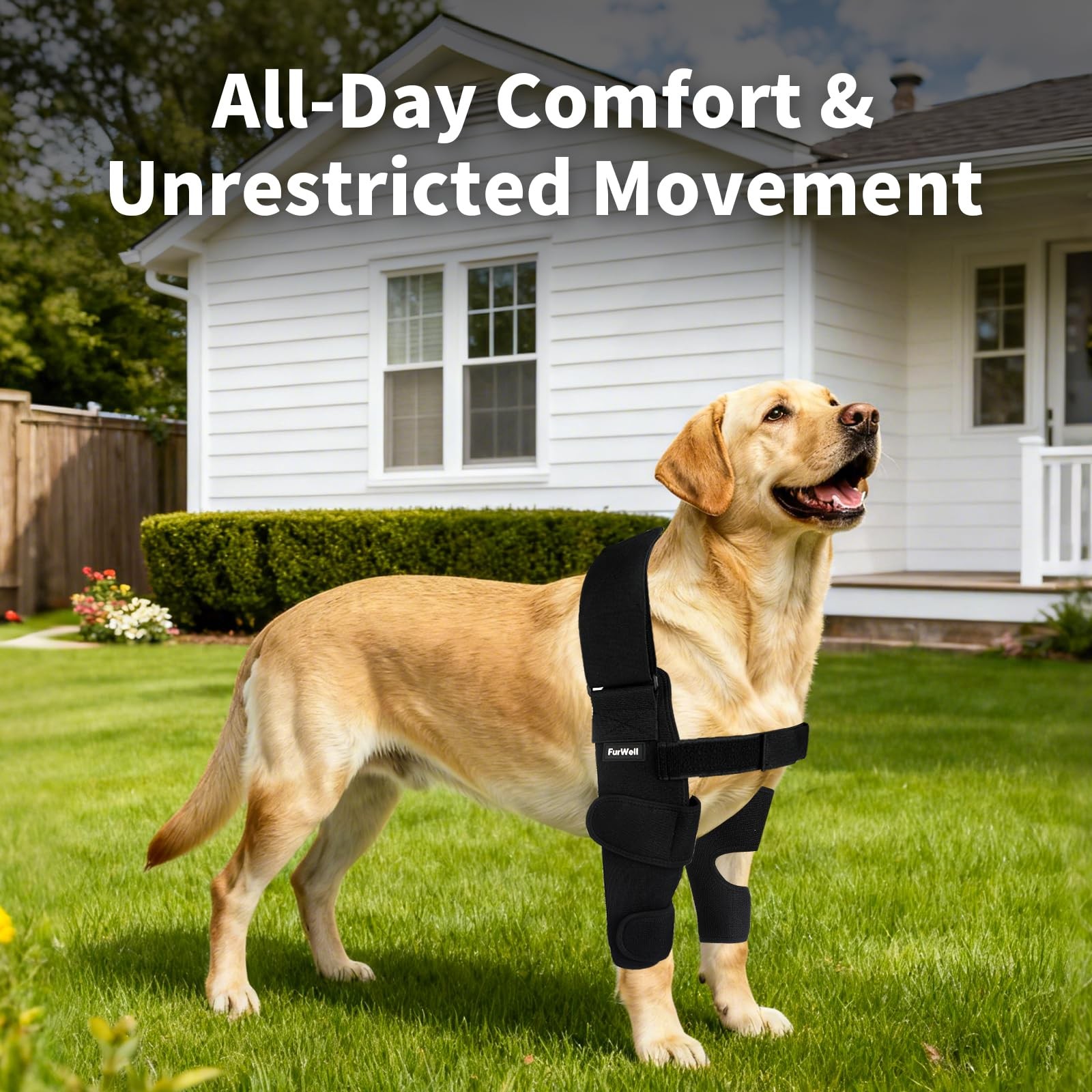 FurWell Dog Elbow Brace M Left Leg Black