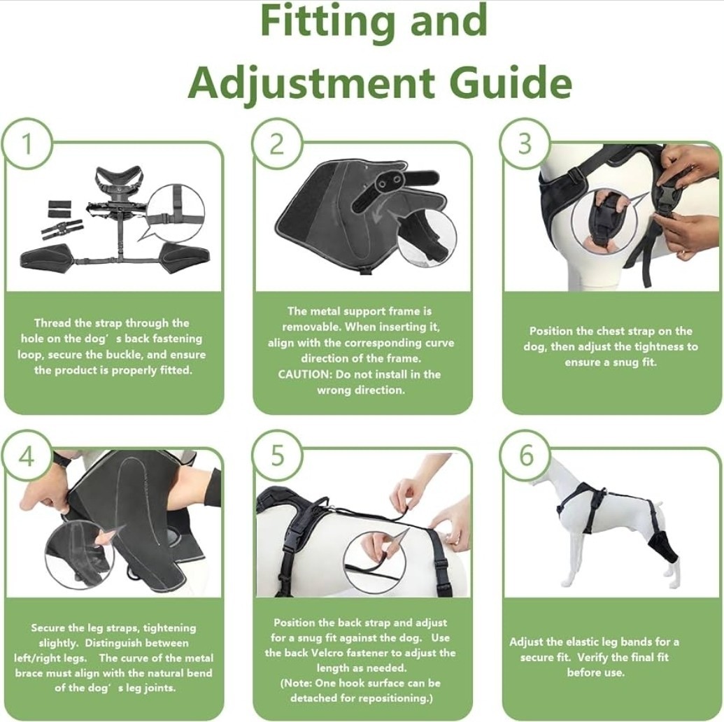 Adjustable Dog Knee Brace for Both Hind Legs – Acl/Ccl Support & Luxating Patell