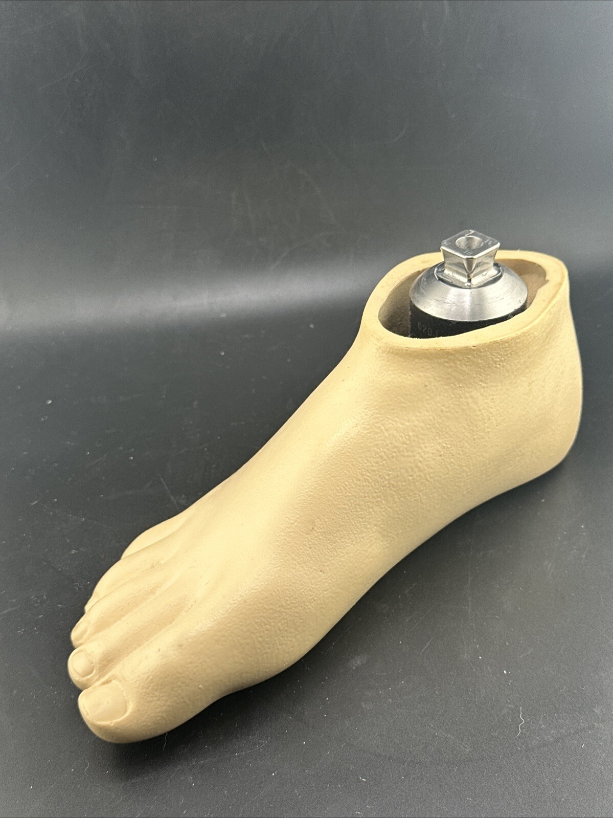 Right Ohio Willowwood Willow Wood Sach Prosthetic Foot. Size 23. Flexible Keel
