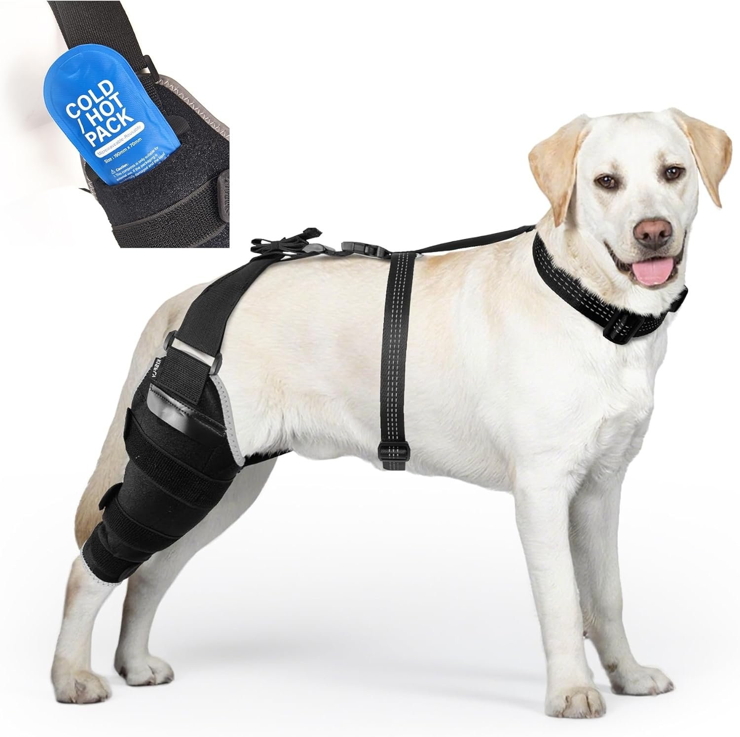 Large Dog Brace for Back Leg for Support – Breathable Adjustable Dog ACL Knee Br