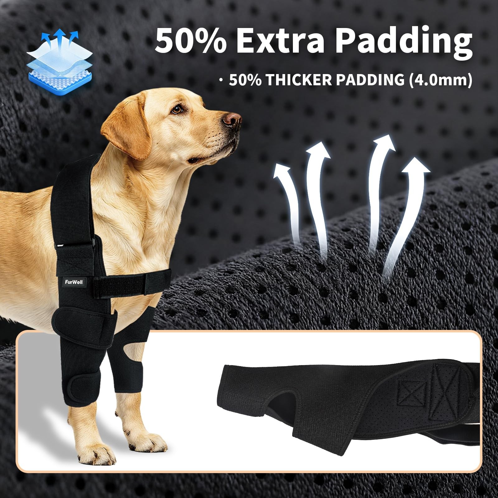 FurWell Dog Elbow Brace M Left Leg Black