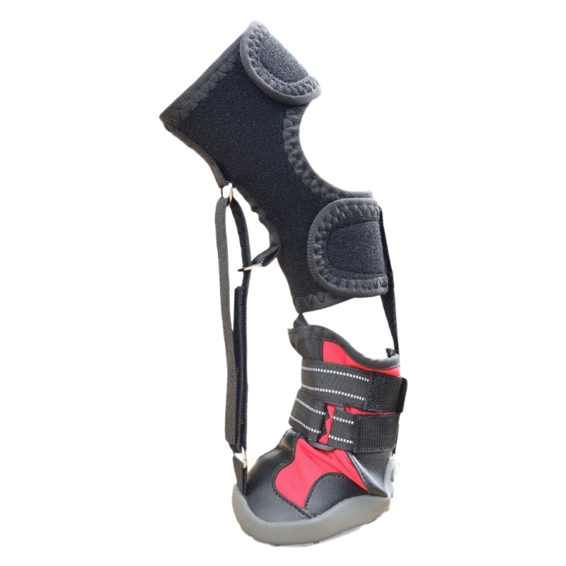 No Knuckling fit for Brace Boot Dog Dragging Paws 1/2Pieces Dog Shoes