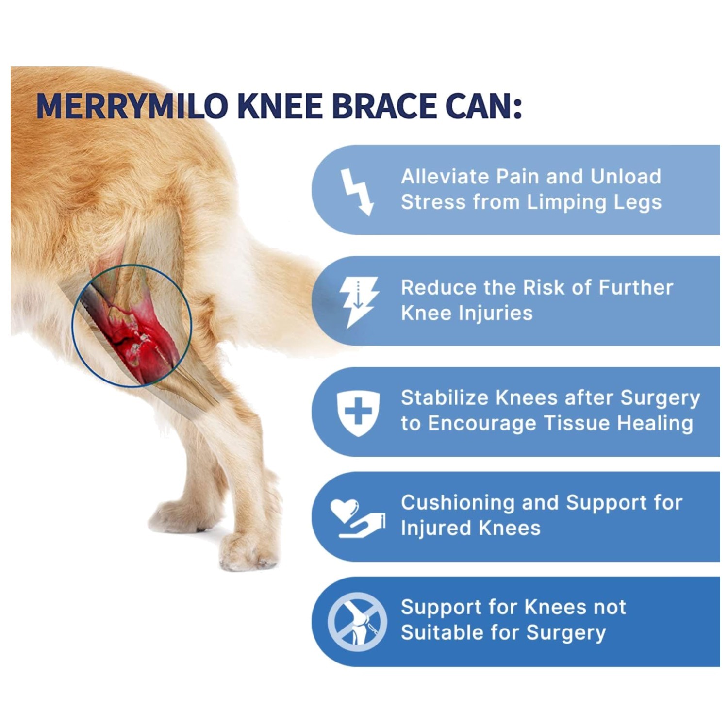 Dog Knee Brace for Torn ACL Hind Leg – Black, Large