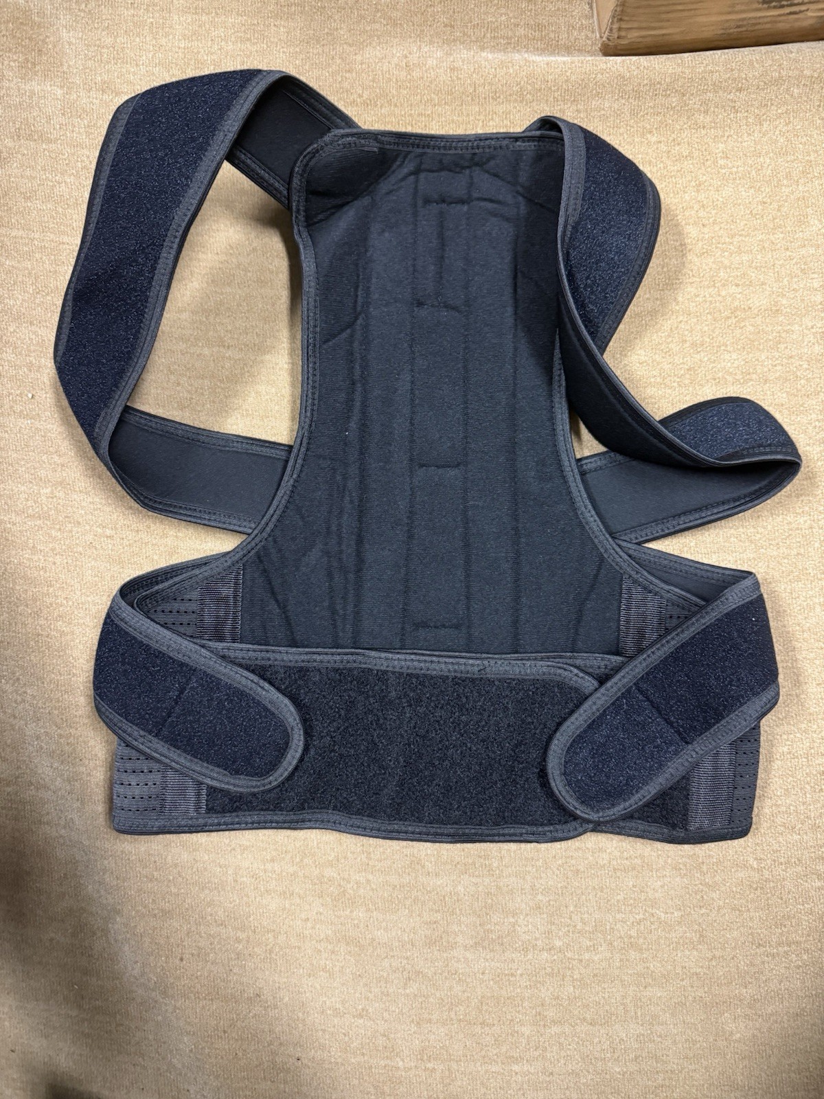 Equestrian Adjustable Back Brace for Posture Support, Size M, Black