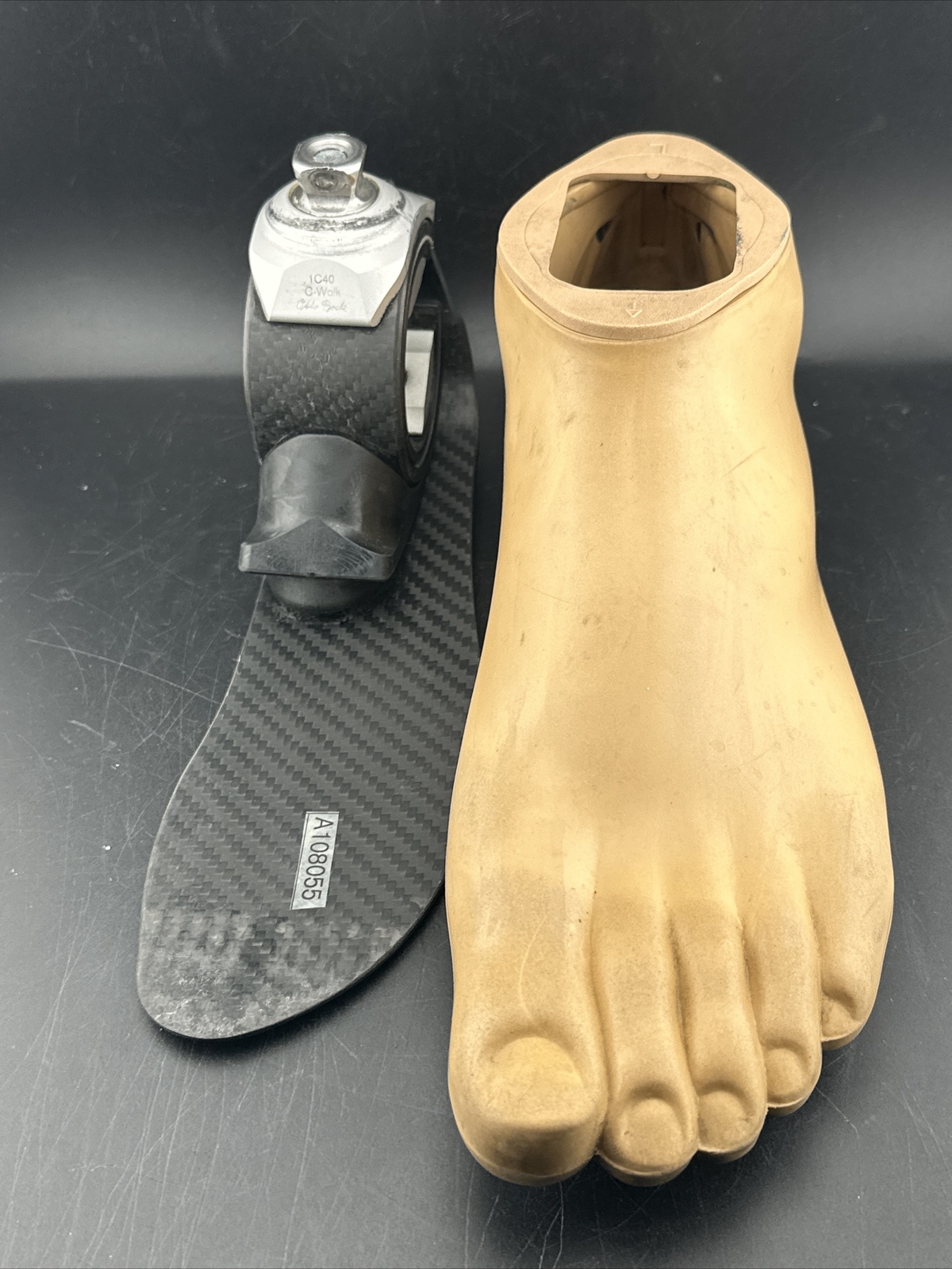 ottobock otto bock cwalk c-walk c walk prosthetic foot. Size 28