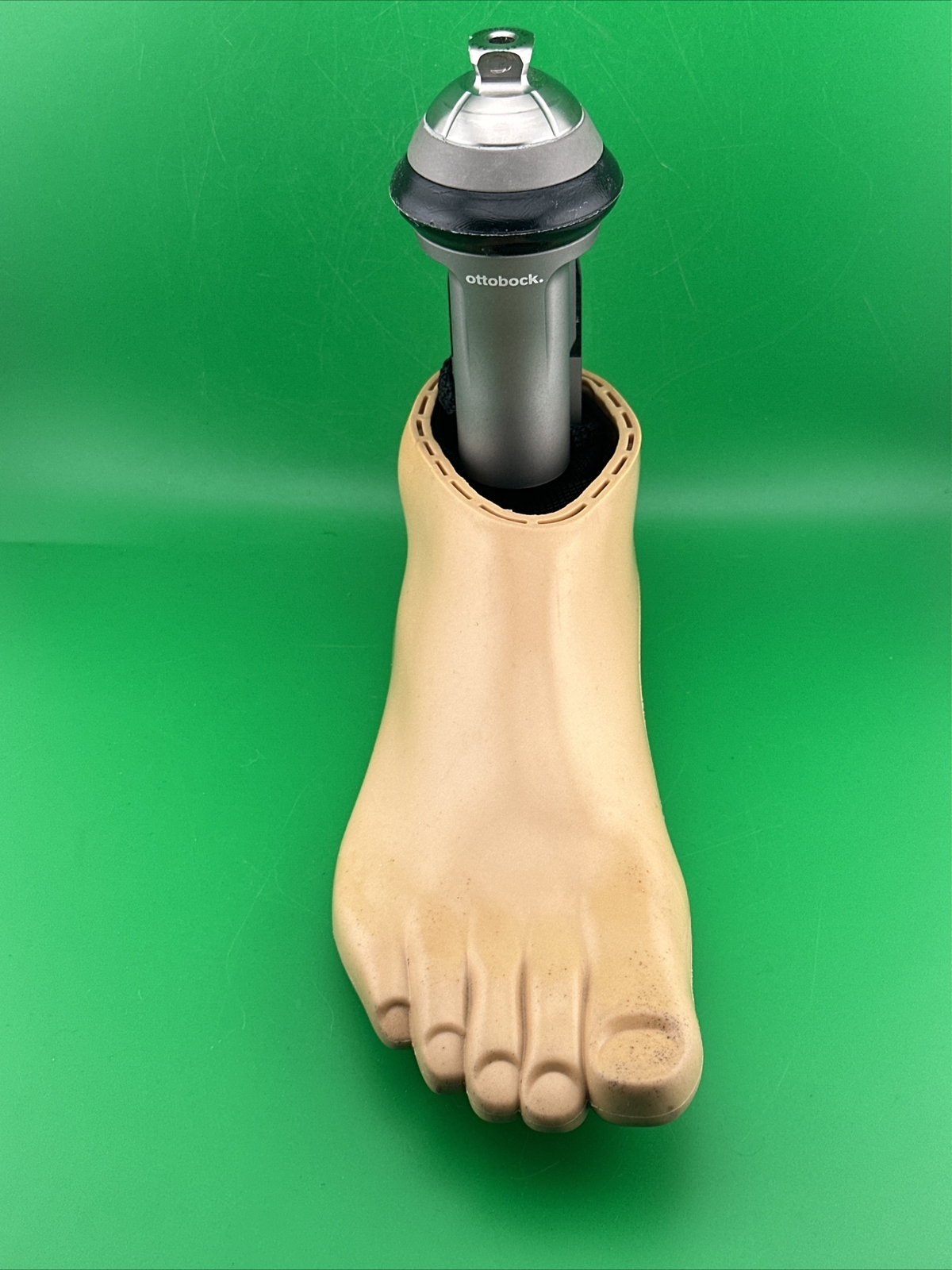 Ottobock Otto Bock Taleo Vertical Prosthetic Foot. 1C51 Prosthetic Foot