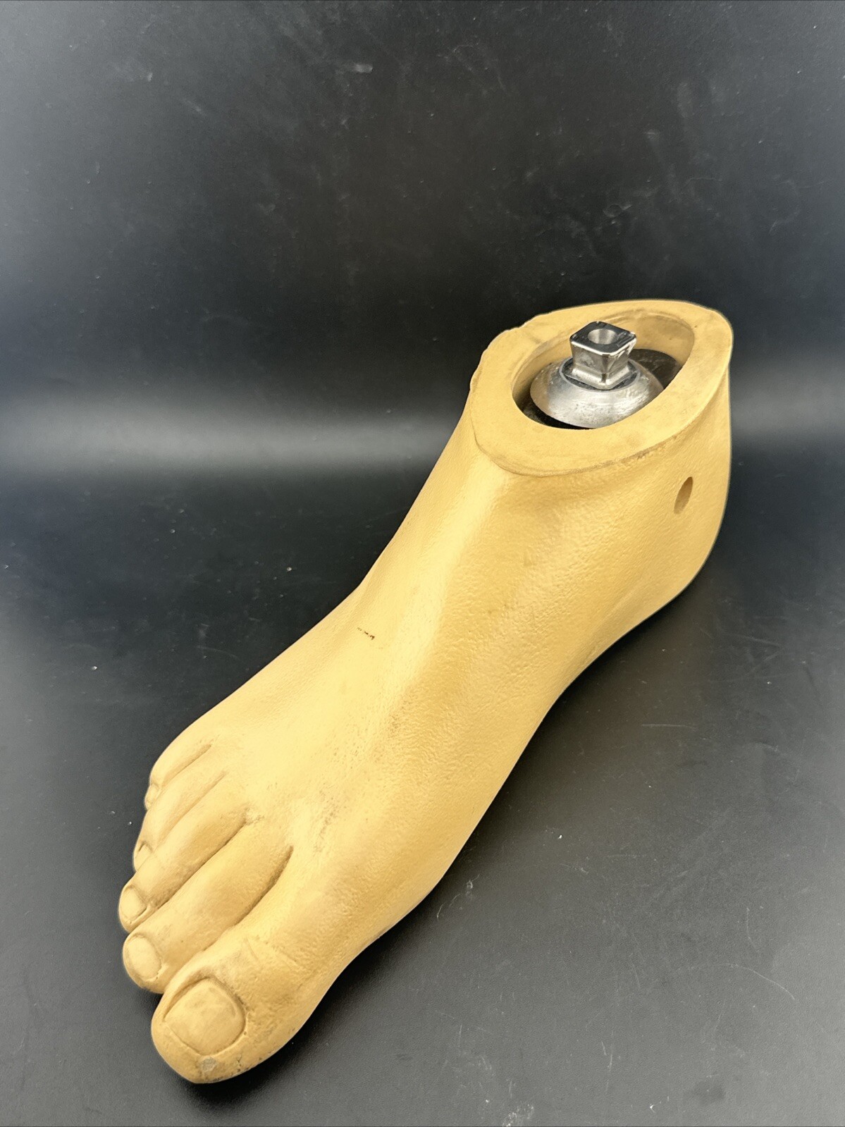Ohio Willow Wood, Single Axis Prosthetic Foot. Right, Size 27.