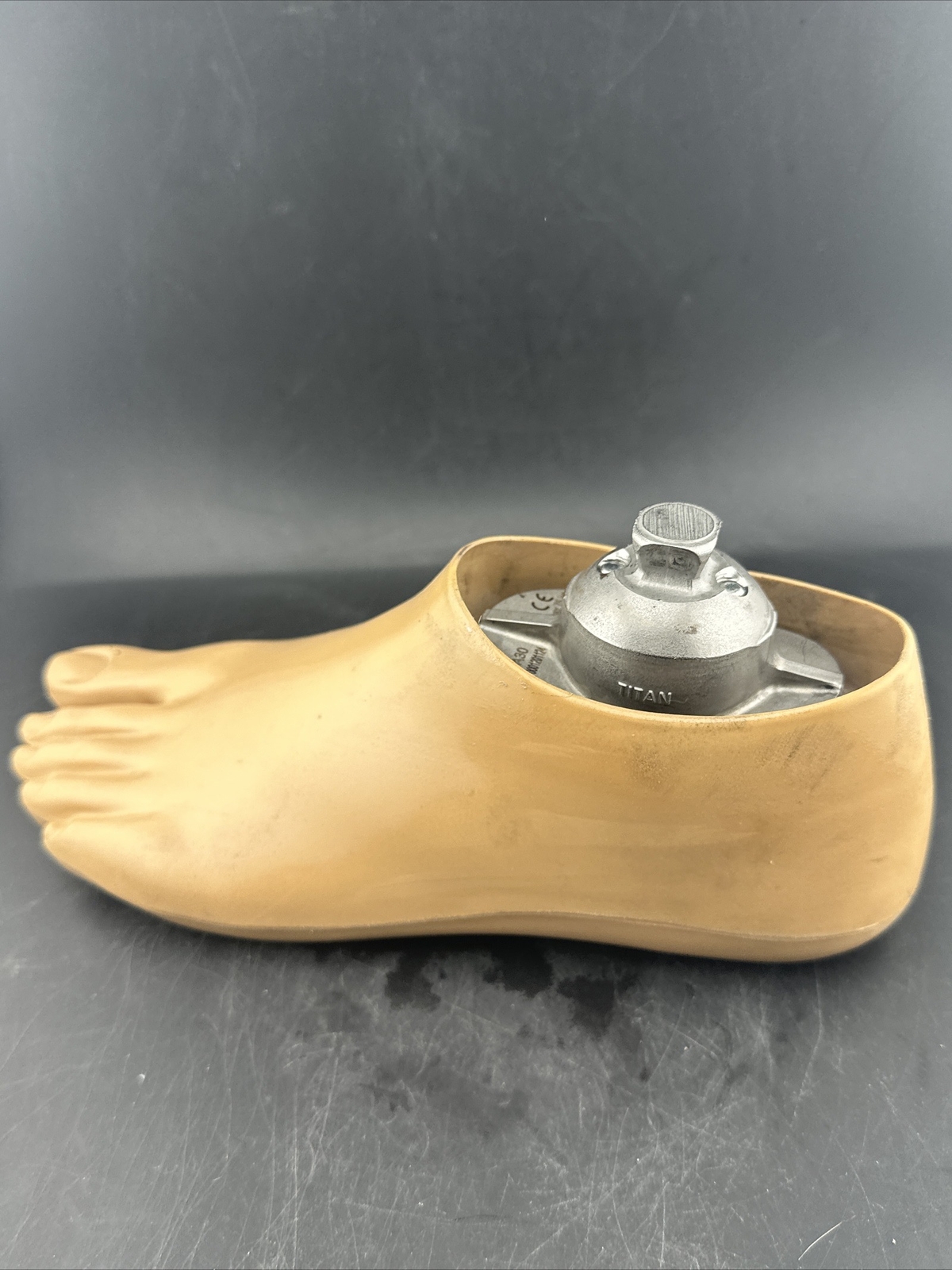 OTTOBOCK Otto Bock Greissinger Plus Prosthetic Foot. Left Size 25 1A30