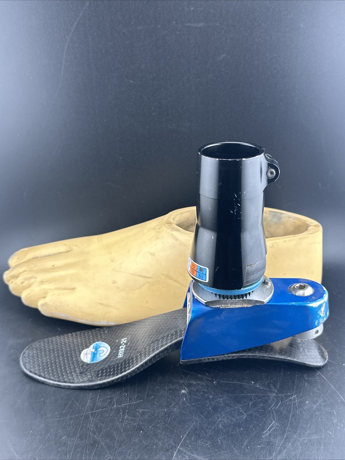 Endolite Blatchford Multiflex Multi-flex Style Prosthetic Foot.
