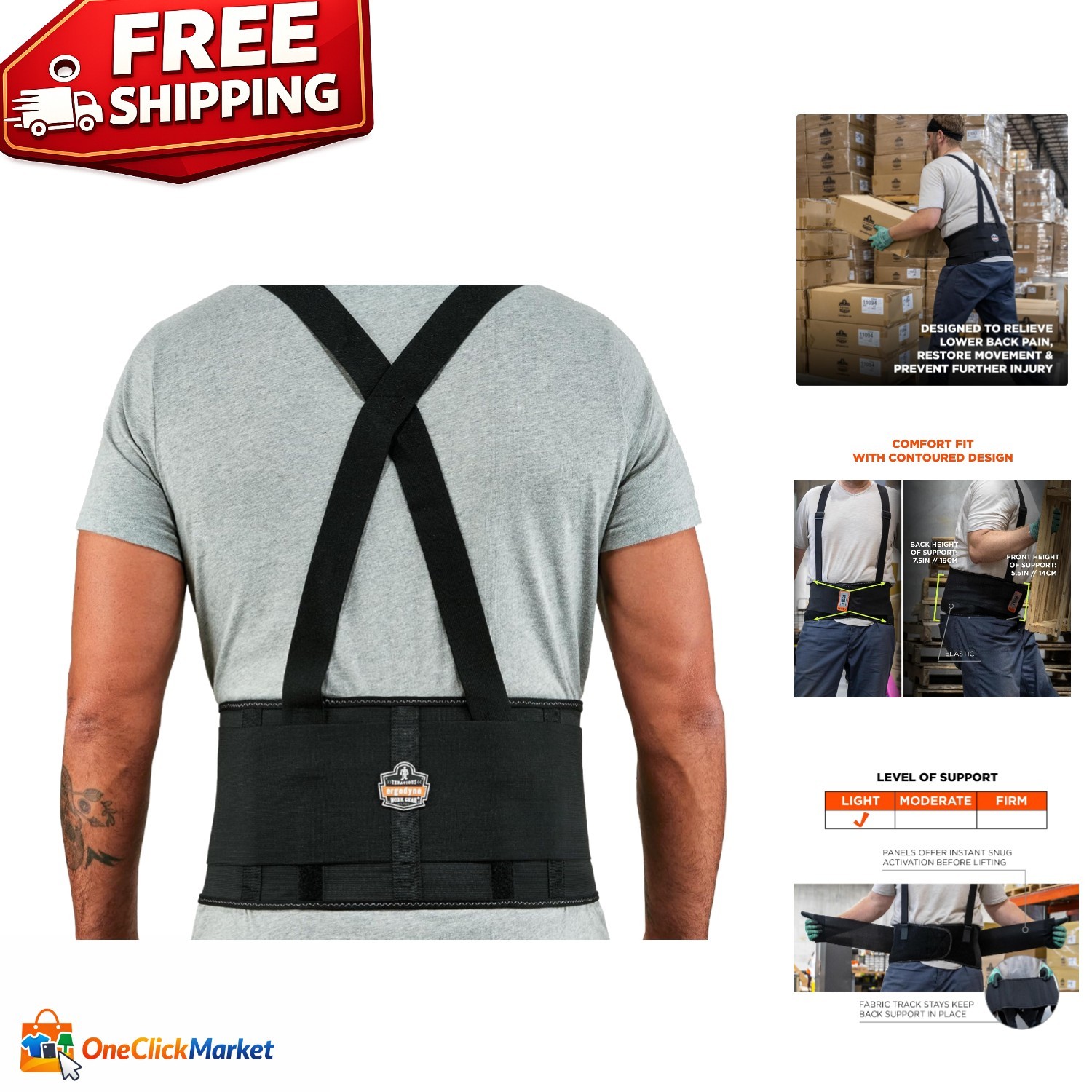 ProFlex 1650 Back Support Belt – 7.5″ Elastic, Effective for All Lifting Needs