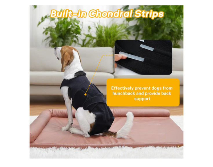 LeleTail Adjustable Back Support for Medium M Dogs – Joint Support Brace NEW