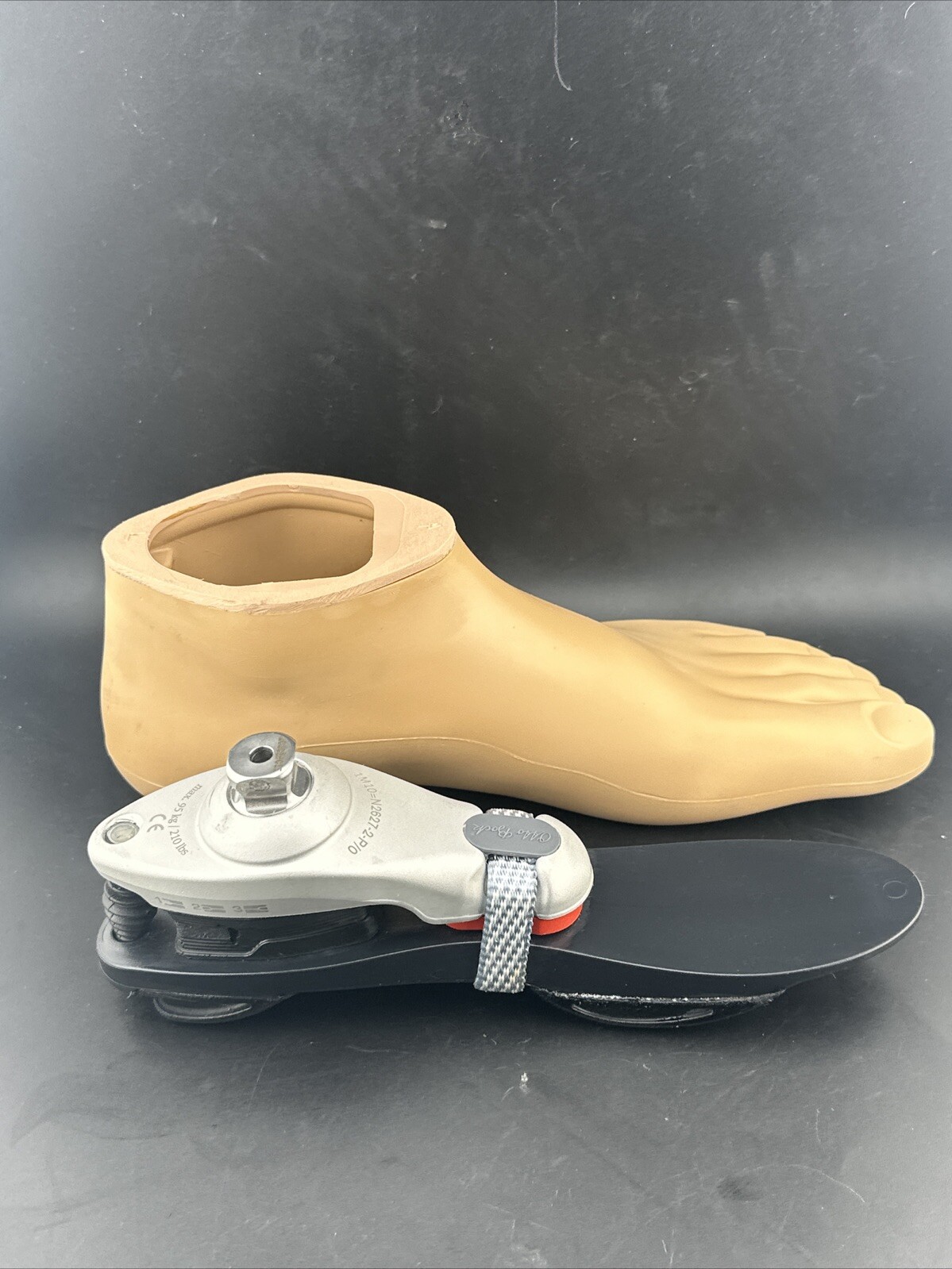 Otto Bock OTTOBOCK 1m10 1m1o Prosthetic Foot Sz 26 Category 2 Left Perfect Cond