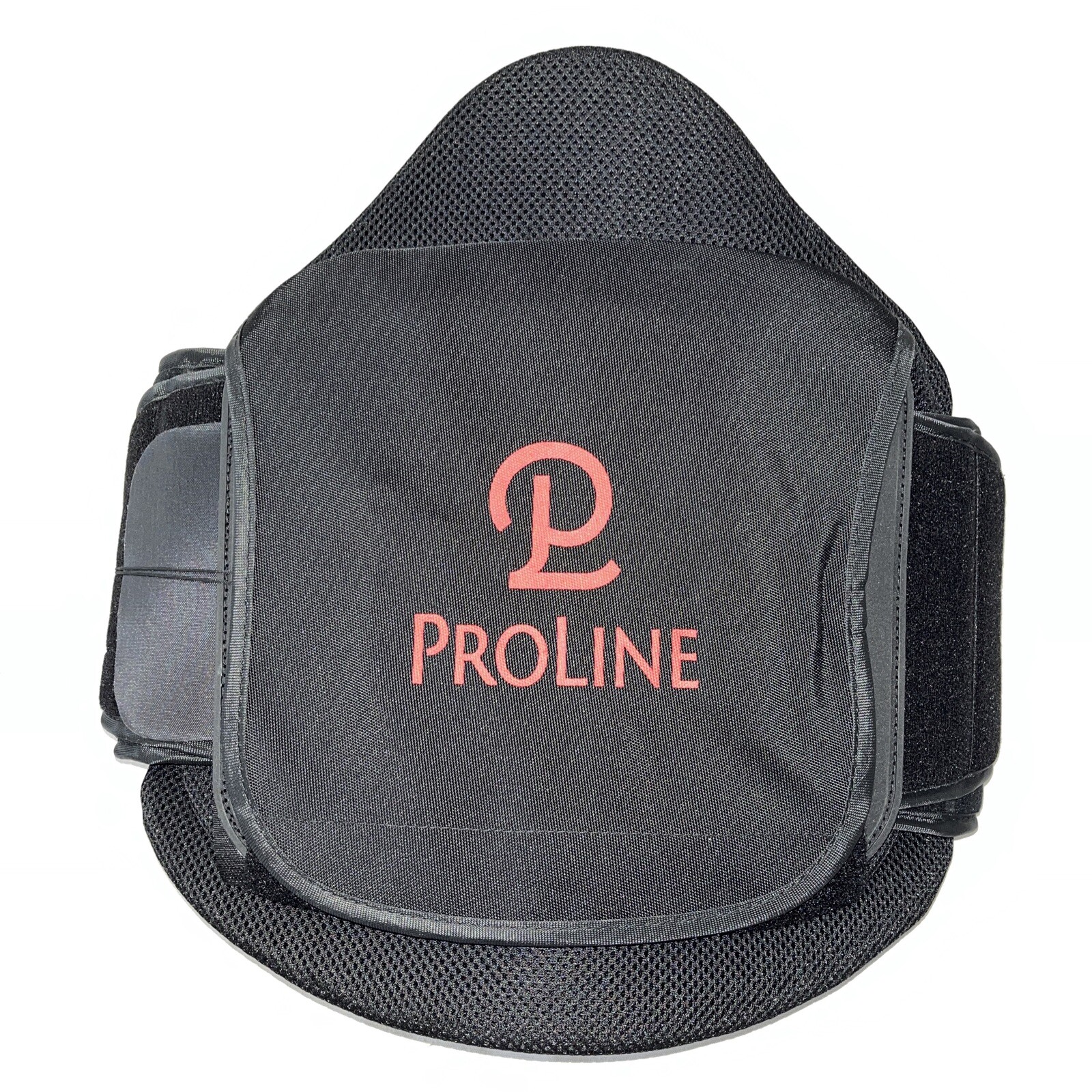 New ProLine Innovations Back Brace Support With Bag Universal Resizable