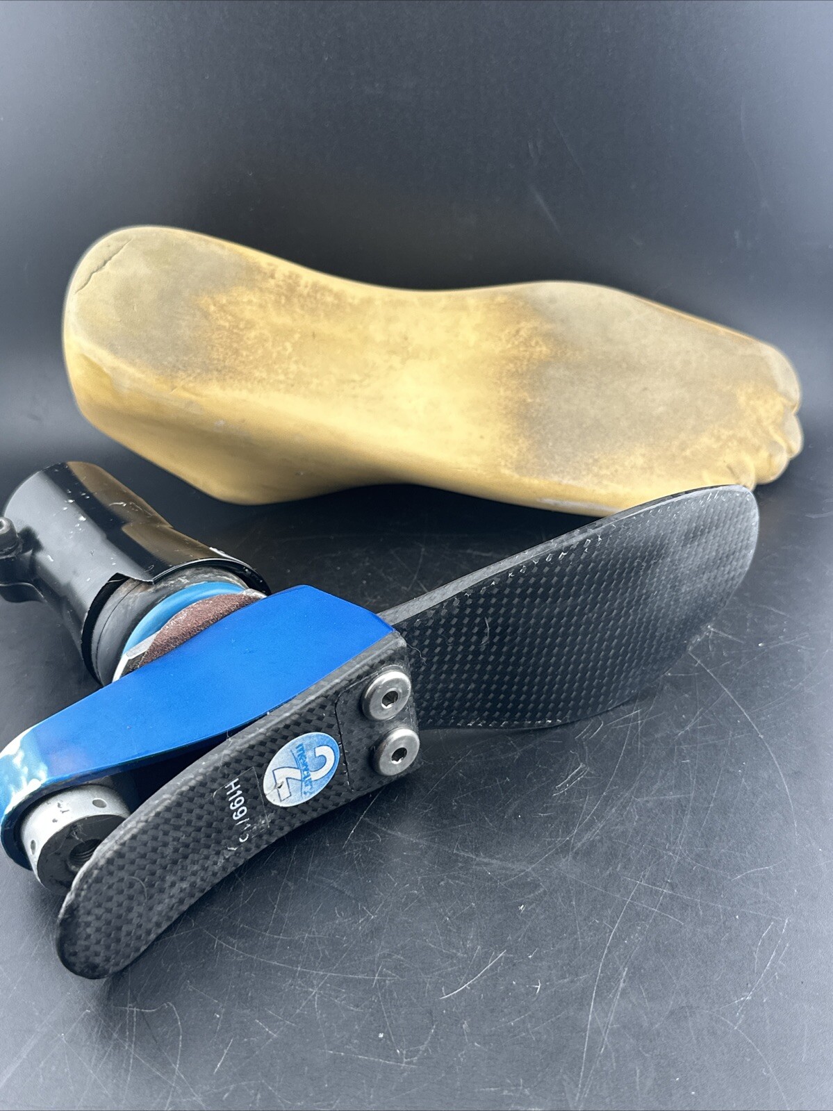 Endolite Blatchford Multiflex Multi-flex Style Prosthetic Foot.