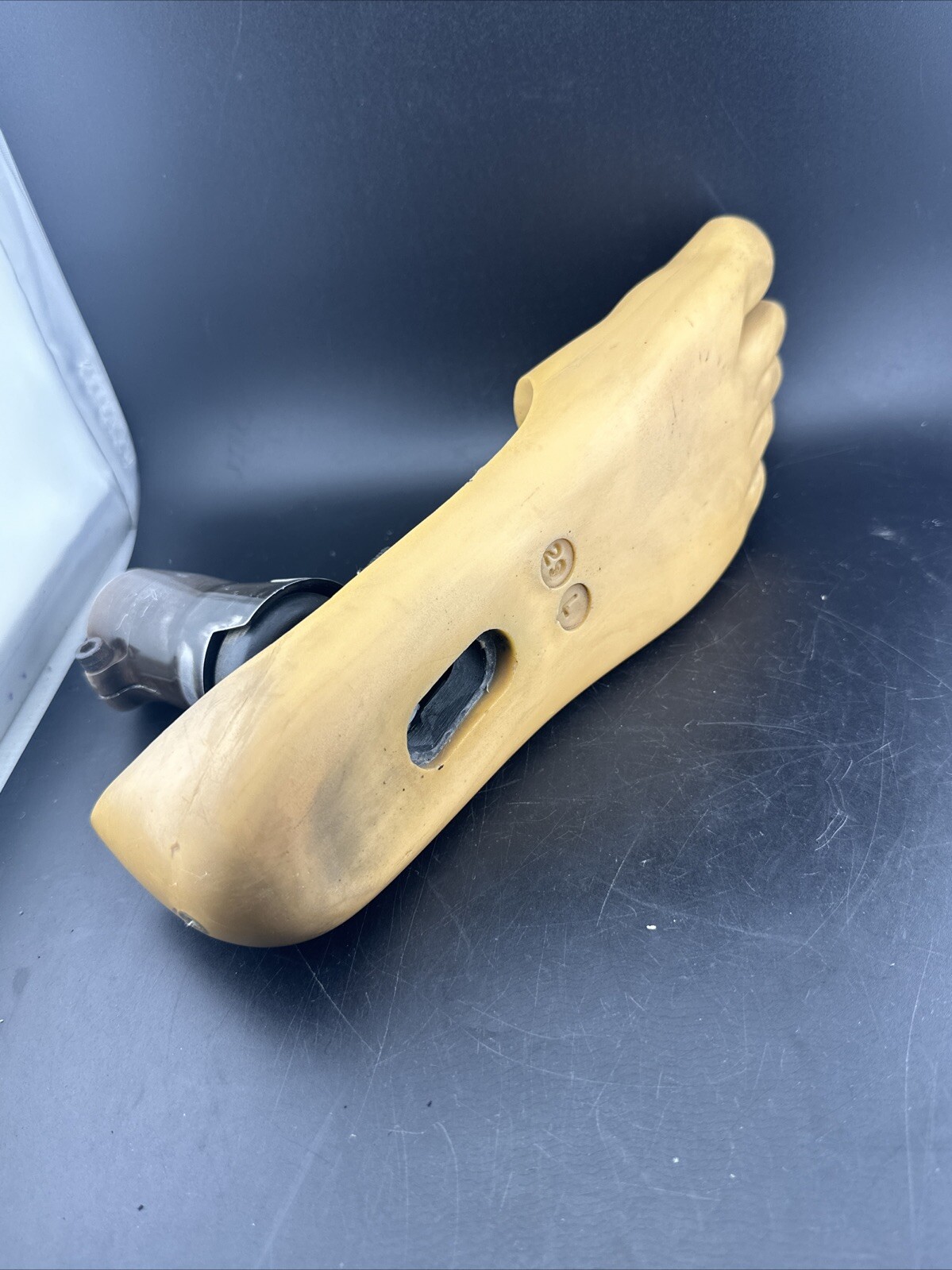 Endolite Blatchford Multiflex Multi Flex Size 29 DR-2 Prosthetic Foot