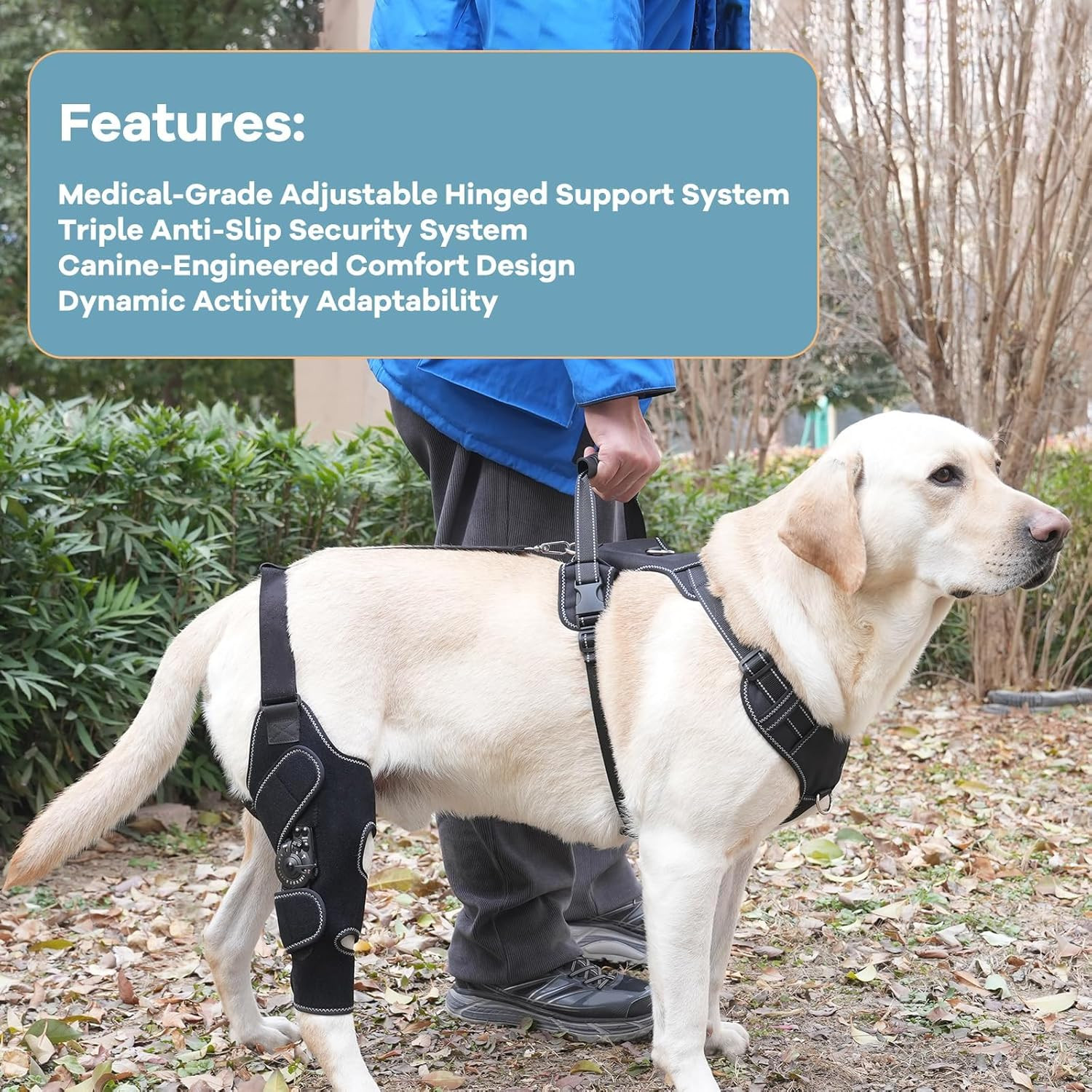 Dog Knee Brace with Adjustable Support – ACL & CCL Tear Recovery, Post-Surgery S