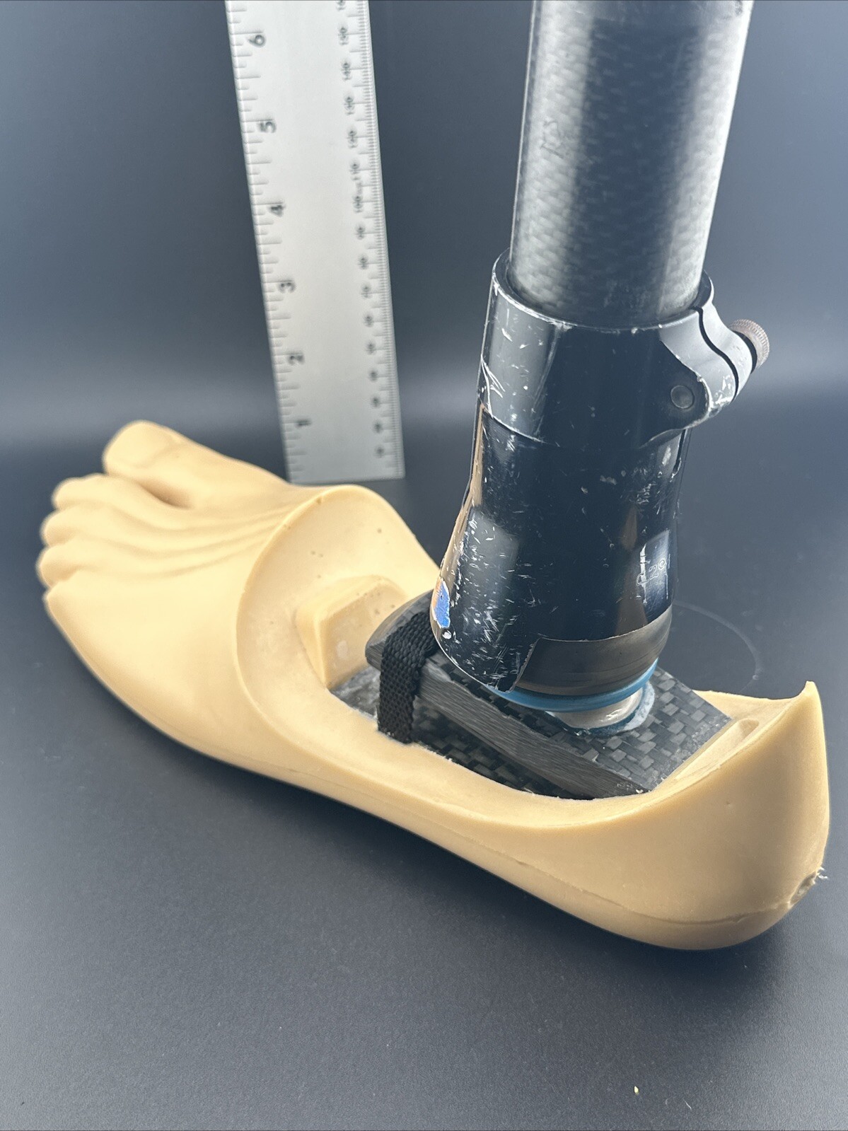 Blatchford Endolite Left Dr2 W/ Multiflex Ankle Prosthetic Foot. Left Size 26