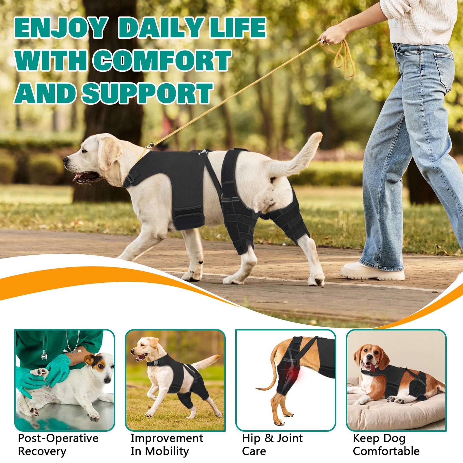 Dog Knee Braces for Torn ACL Hind Leg, Adjustable Joint Brace Non-Slip | Doub…