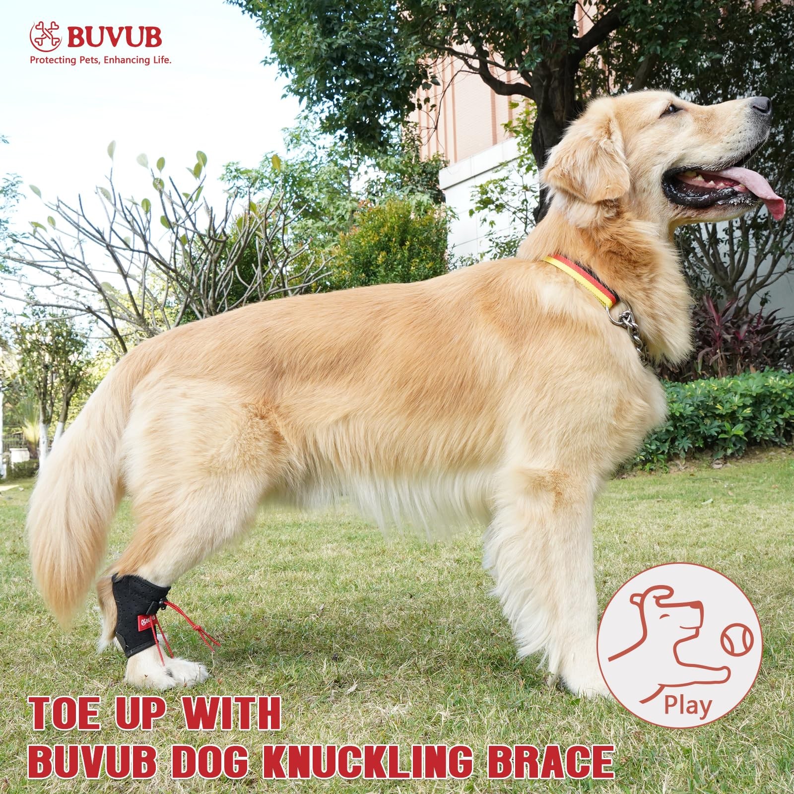 BUVUB Dog Knuckling Brace Small 1PCS