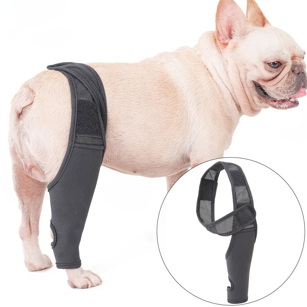 Dog Knee Brace Support Recovery Joint Pain Relief Arthritis Injury Wrap for Dogs