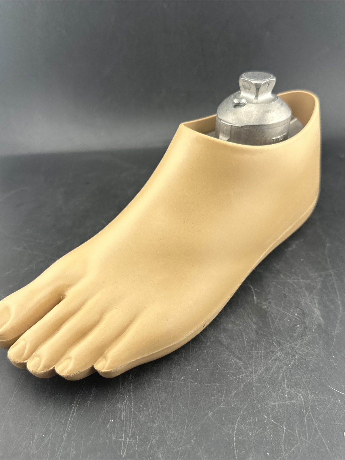 OTTOBOCK Otto Bock Greissinger Prosthetic Foot. Left Size 24 1A30 Perfect
