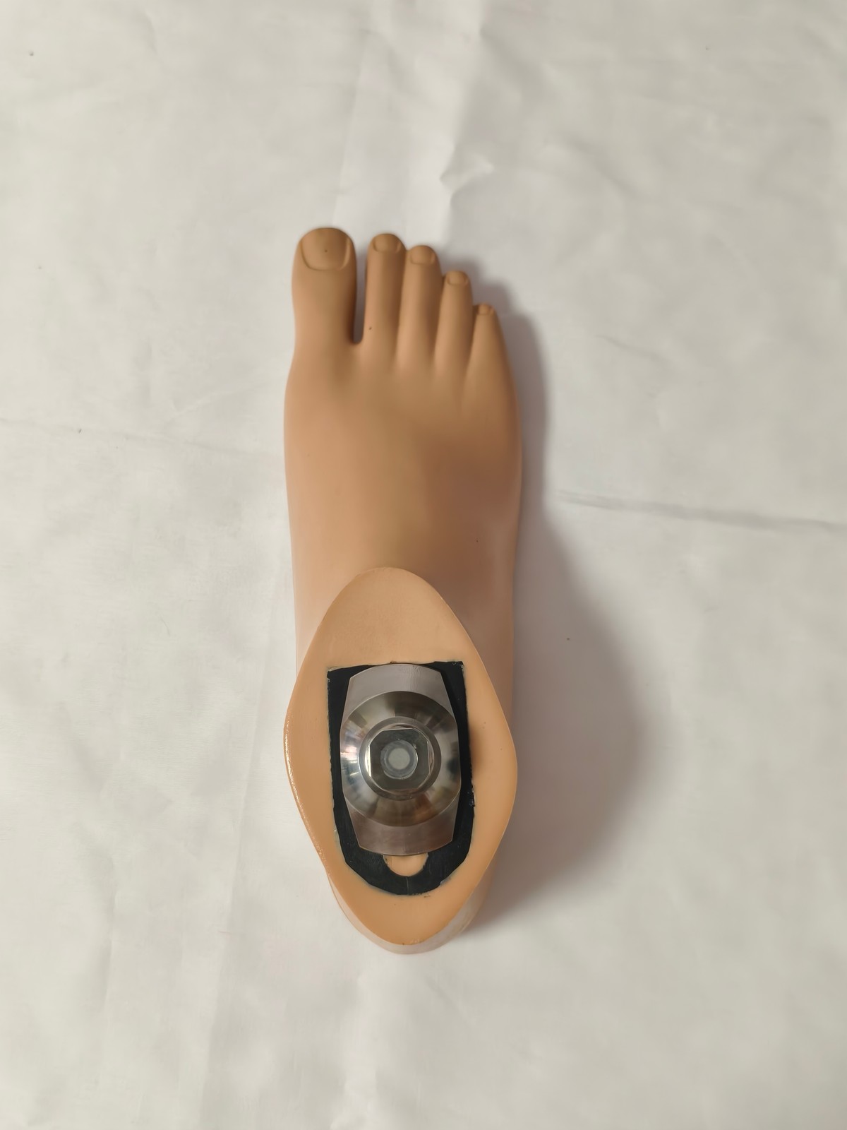 Waterproof SACH Prosthetic Foot w/ Carbon Fiber Keel 22-28cm L/R