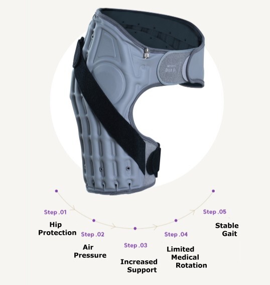 Disk Doctor Hip Joint Pelvis WC605H Hip Joint Pelvis Fixed Support