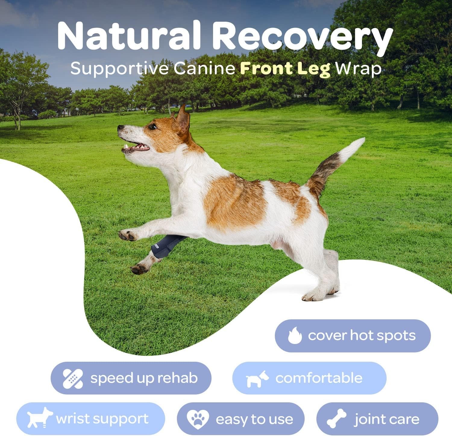 Labra Dog Front Leg Brace, Dog Wrist Brace with Adjustable Straps