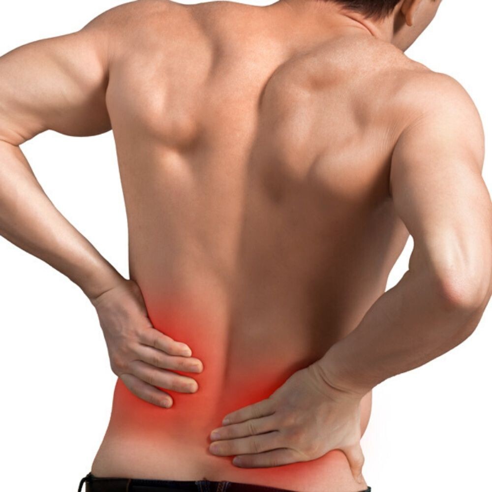 Car Lumbar Back Support Pillow Lower Office Chair Seat Cushion Foam Pain Relief