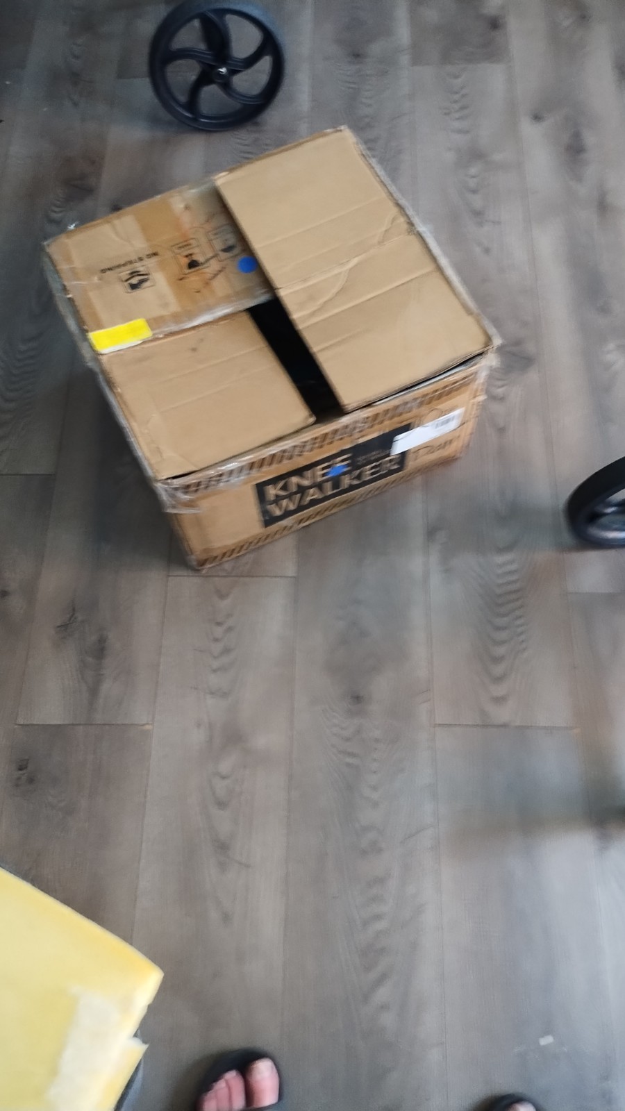 Knee Scooter