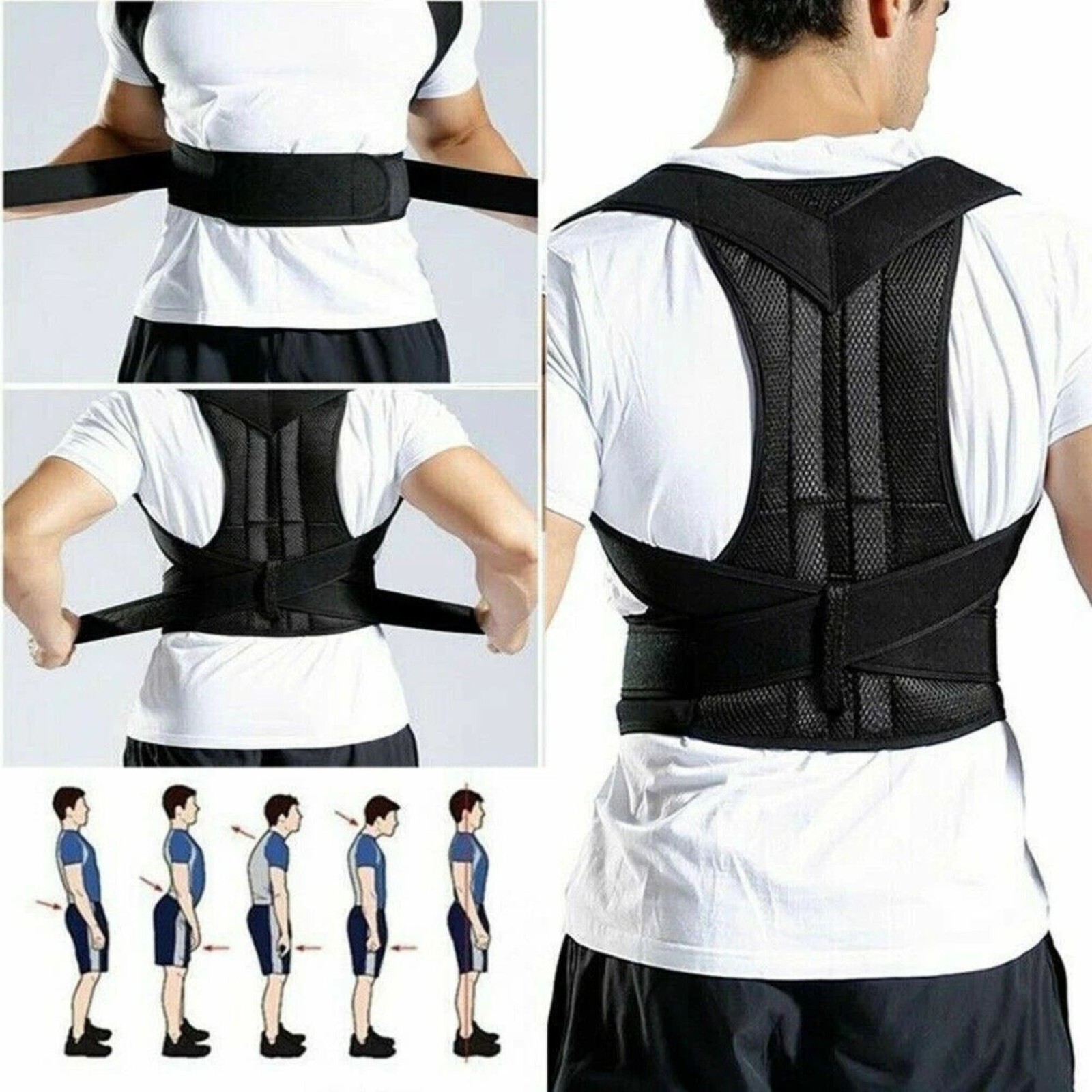 Posture Corrector Low Back Support Shoulder adjustable Back Posture Brace, XXL