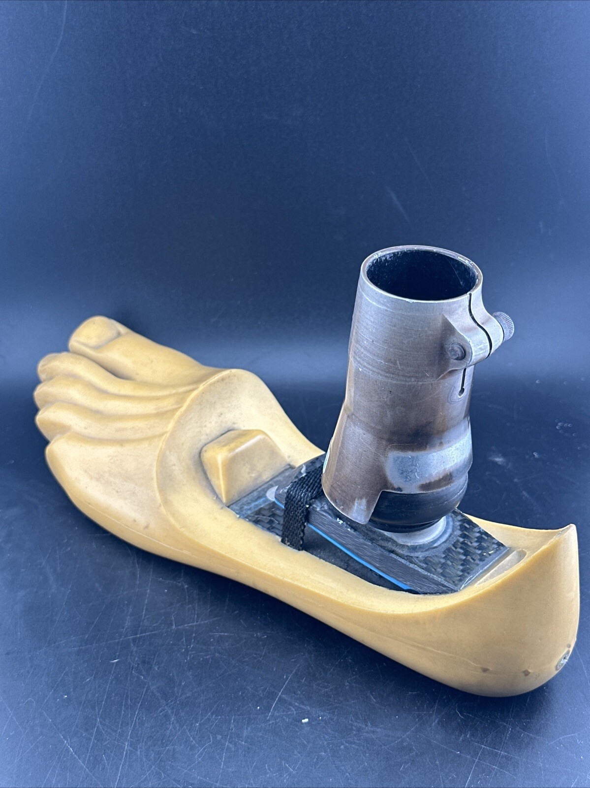 Endolite Blatchford Multiflex Multi Flex Size 29 DR-2 Prosthetic Foot