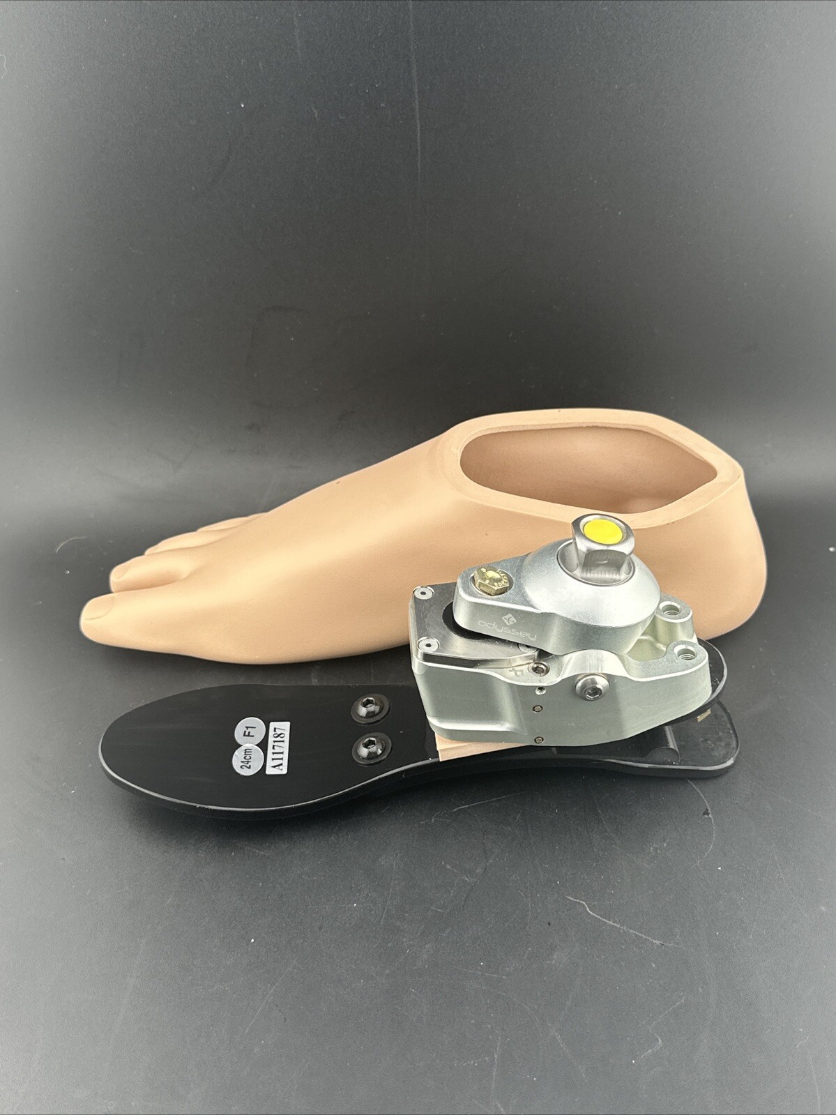 College Park K2 Odyssey Hydraulic Ankle Prosthetic Foot, Right Shell, Size 24