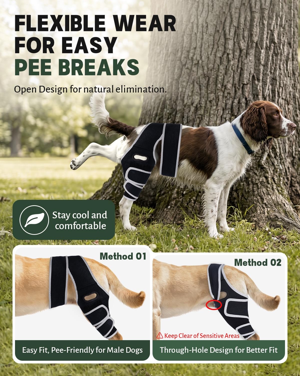 Adjustable Dog Hind Leg Knee Brace with Metal Side Stabilizers,(Size XL). | T…