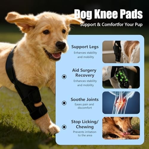 Adjustable Dog Knee Brace for Torn ACL/CCL – Hind Leg Support, Arthritis Relief,