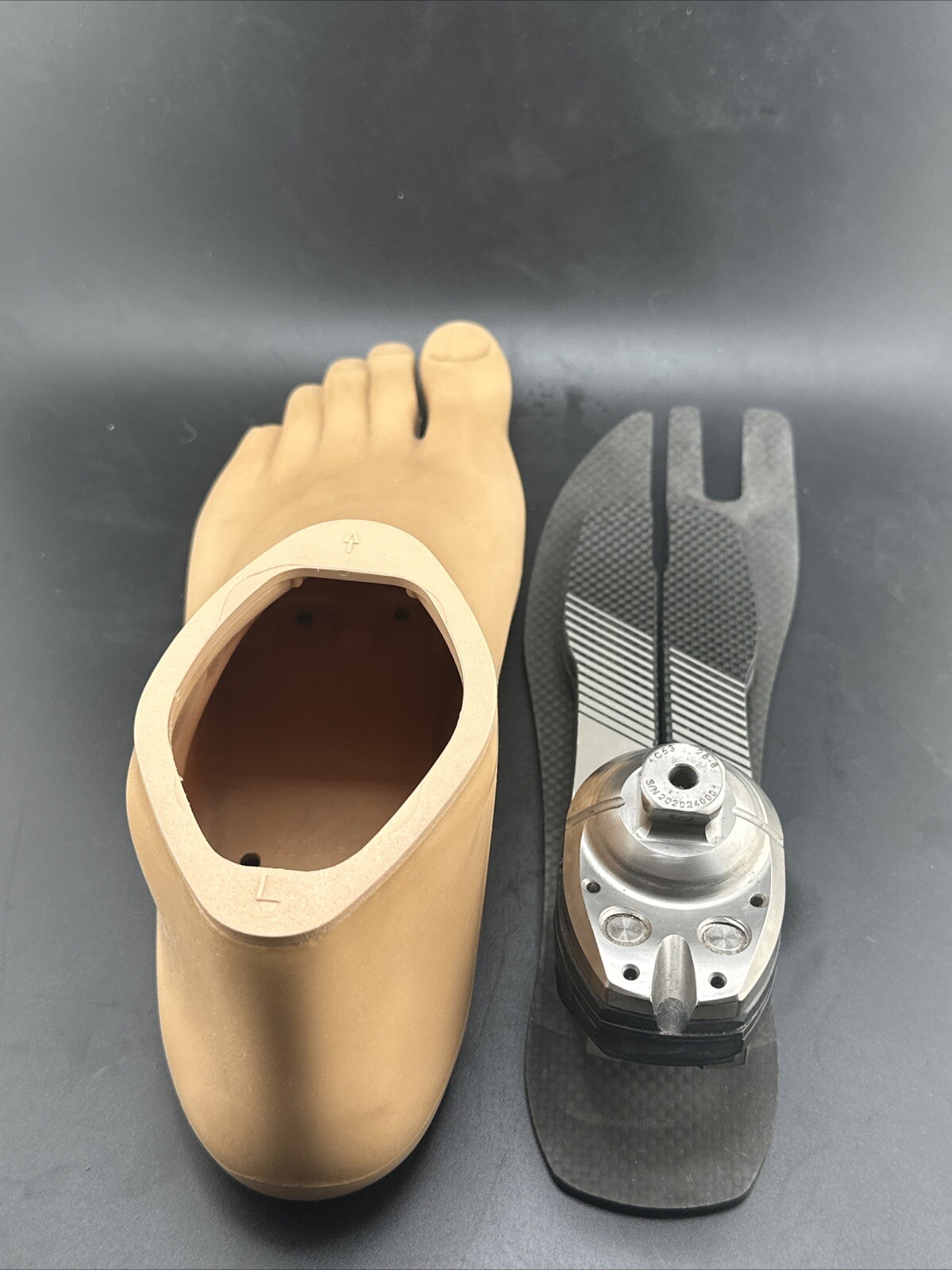 Ottobock Otto Bock Taleo LP 1C53 Prosthetic Foot. Size 28. Category 8. Left