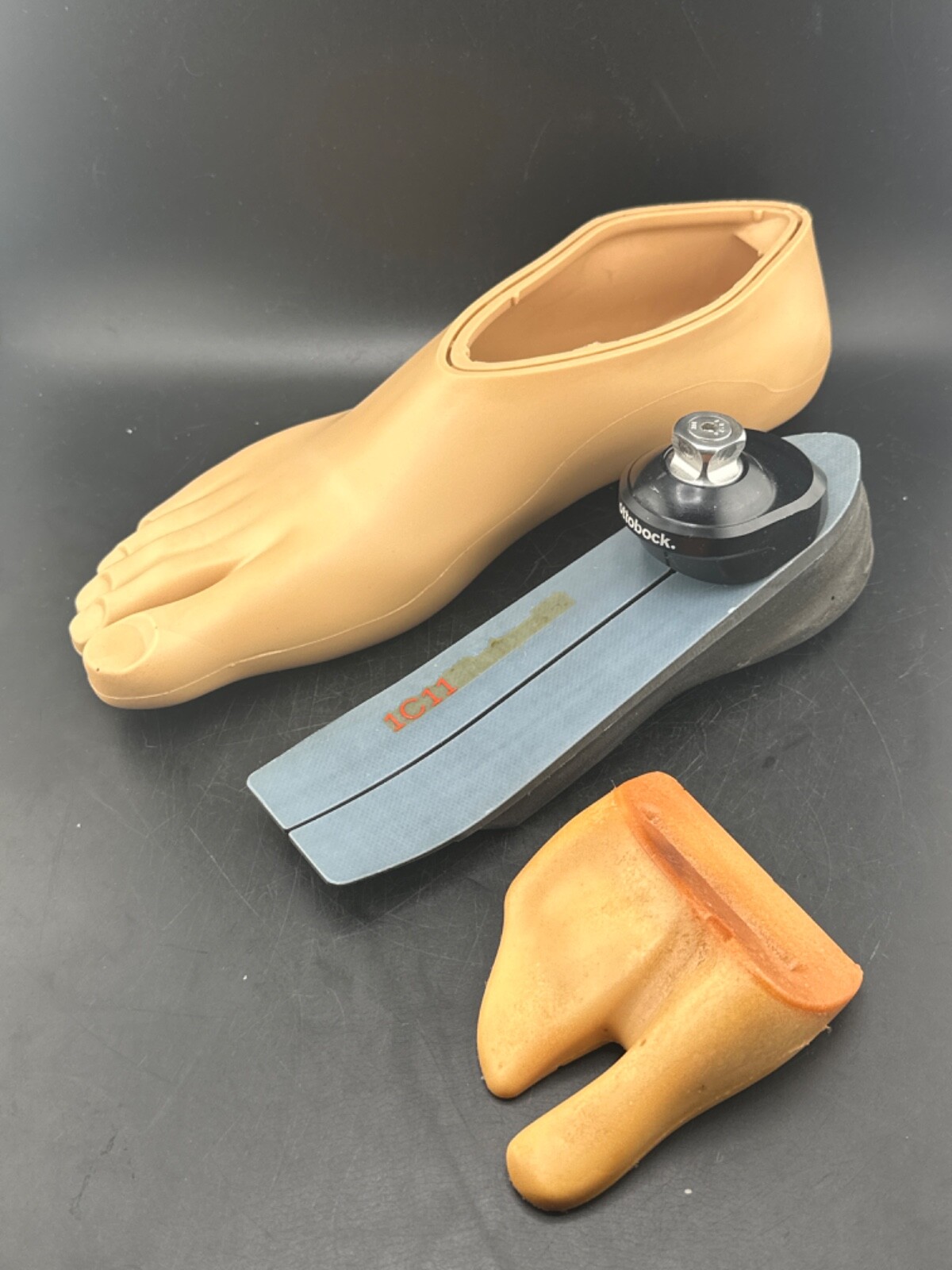 OTTOBOCK Otto Bock Terion 1c11 prosthetic foot right shell size 28 category 3