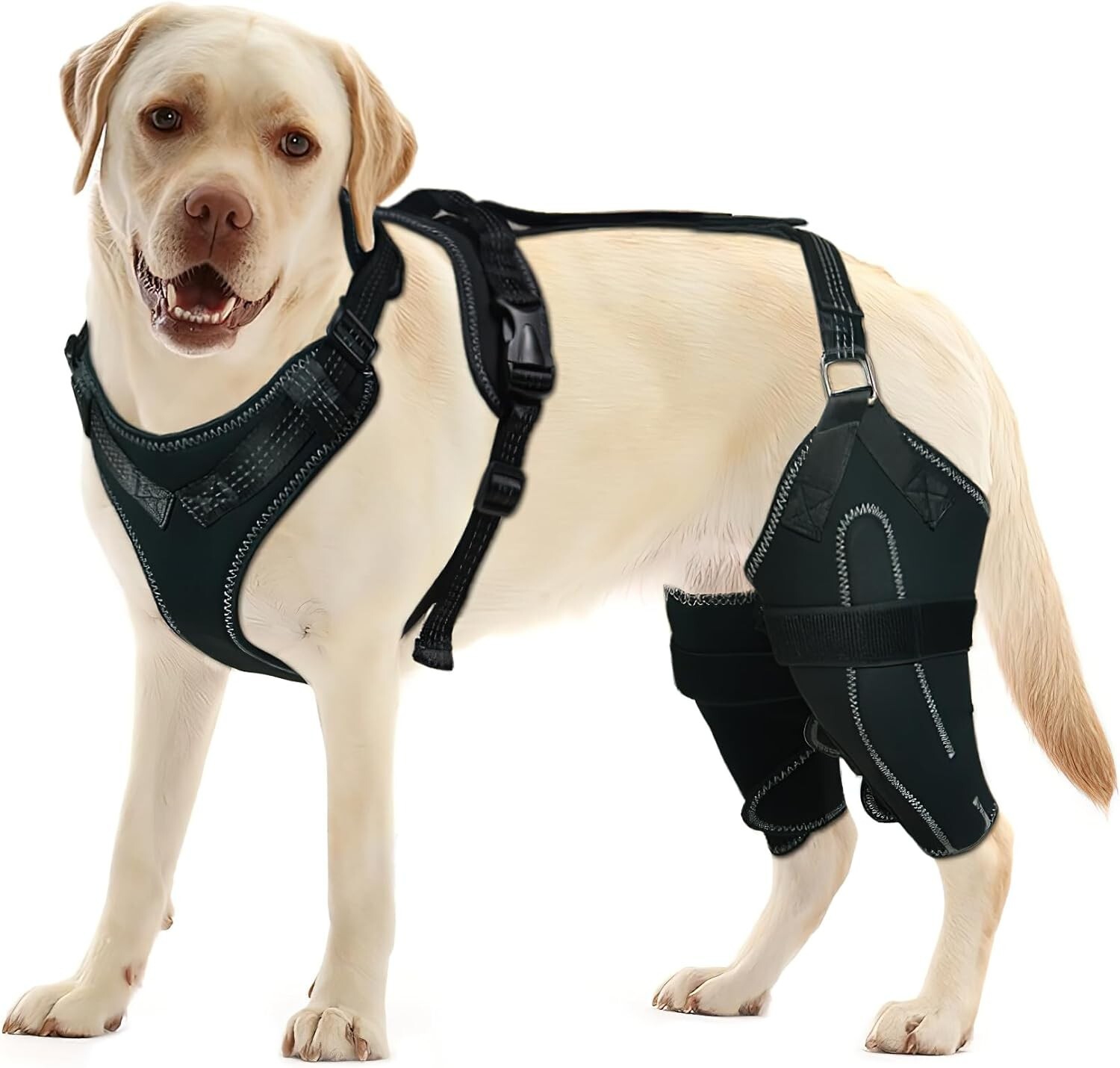 LISPOO Dog Acl Knee Brace Torn Acl Leg Luxating Patella Relieves Joint Pain L