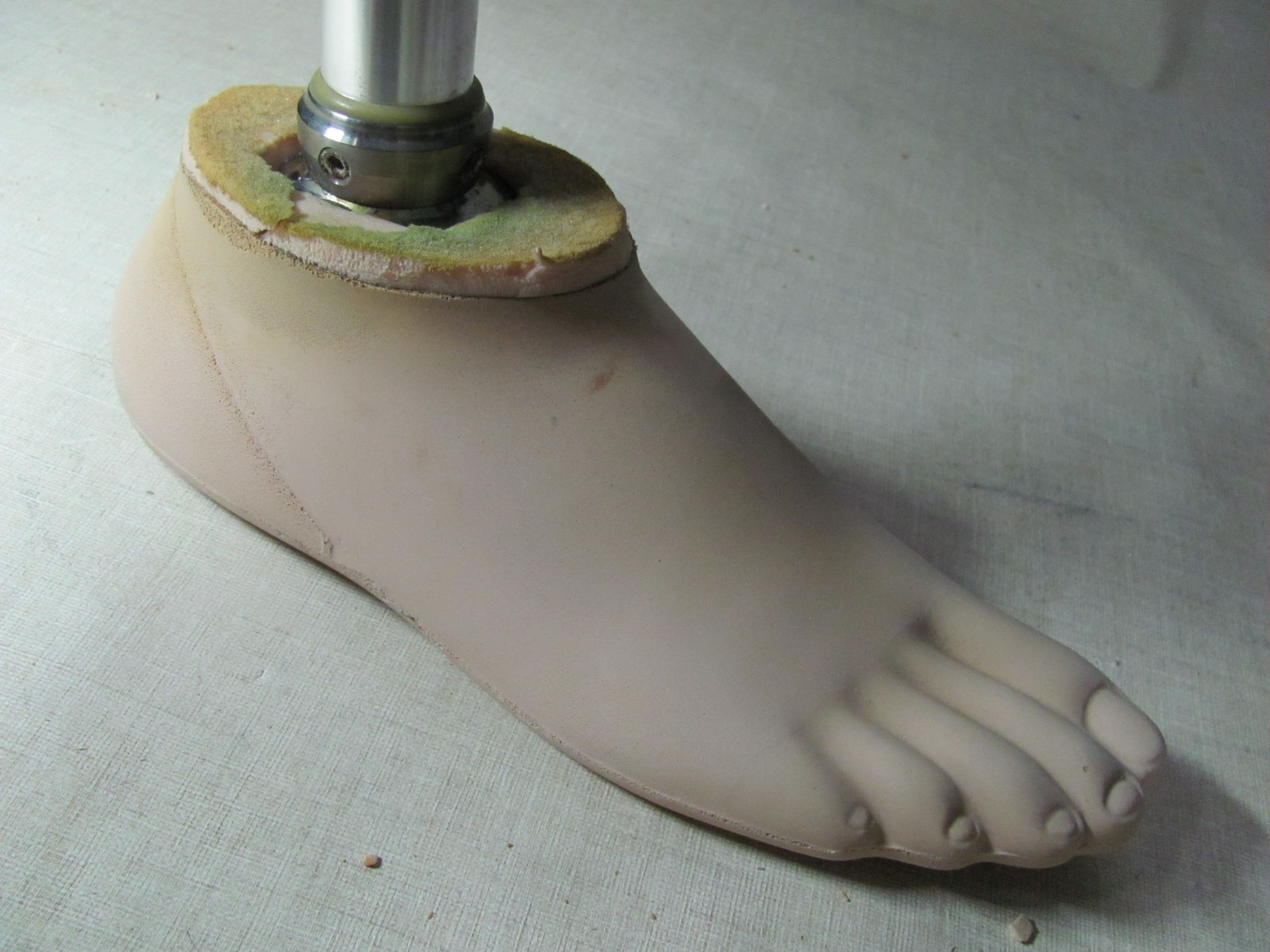 PROSTHETIC LEG LEFT BELOW-KNEE OTTO BOCK TITAN 4R52 HARDWARE KINGSLEY FLATTIE FO