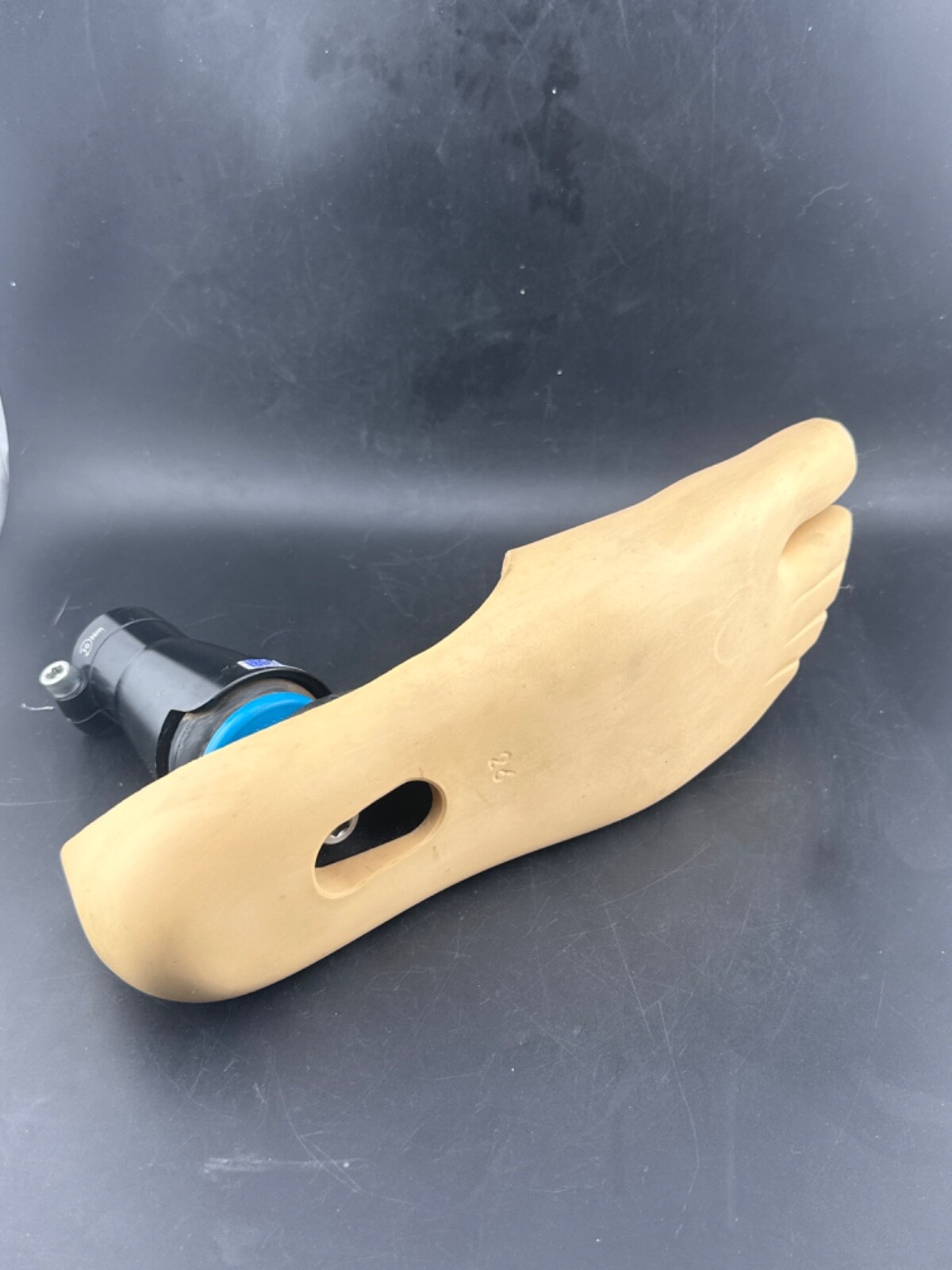 Blatchford endolite Multiflex mult flex prosthetic foot. left. Size 26